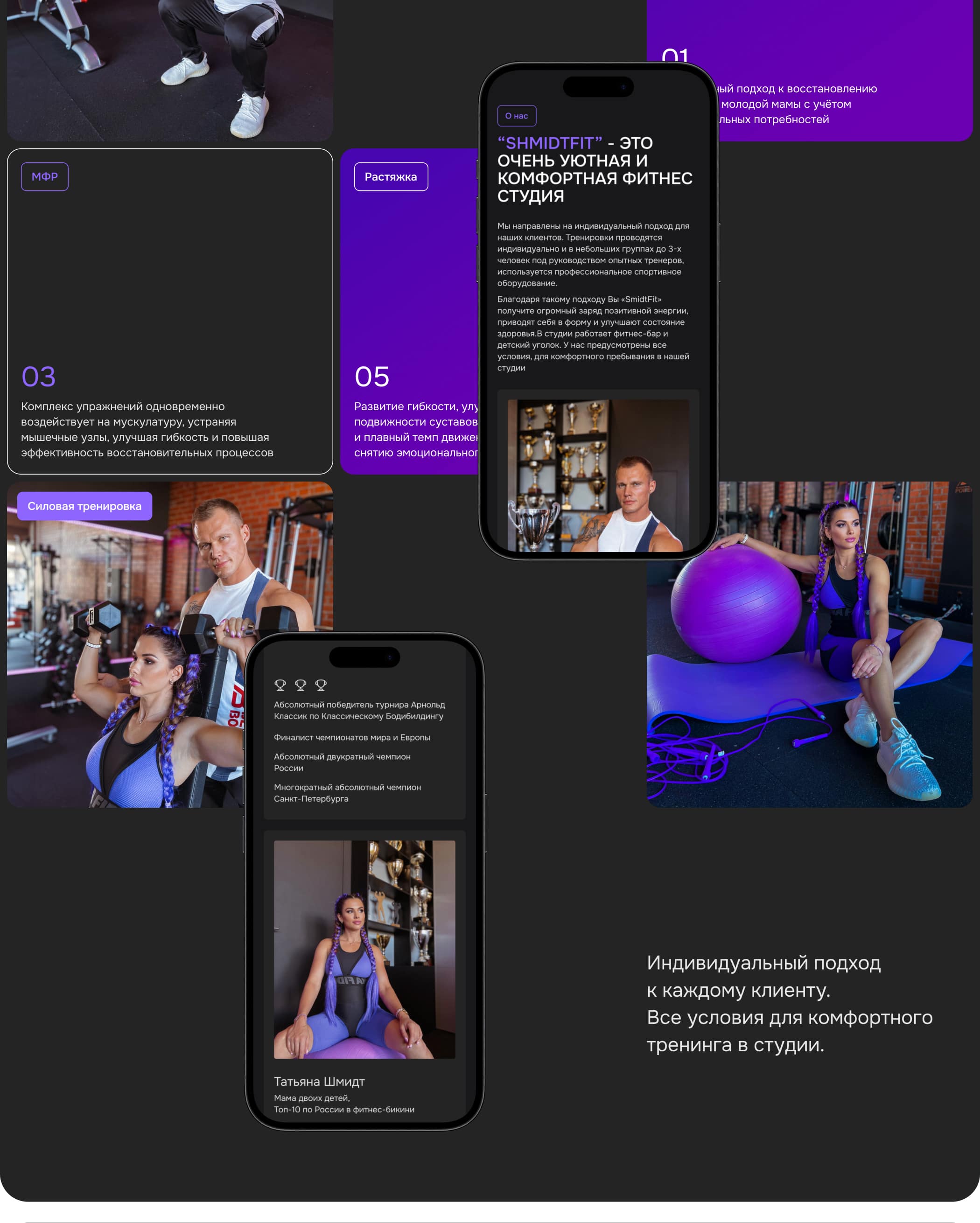 SHMIDTFIT - редизайн сайта — Изображение №4 — Интерфейсы на Dprofile
