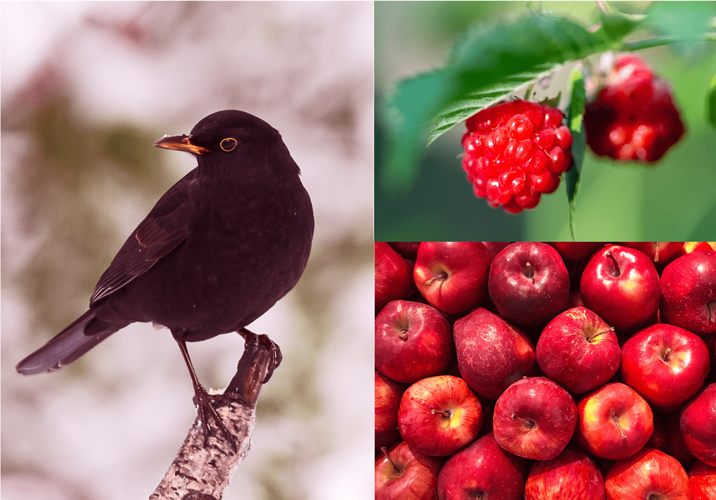 Groc agroholding | brand identity — Изображение №3 — Брендинг, Иллюстрация на Dprofile