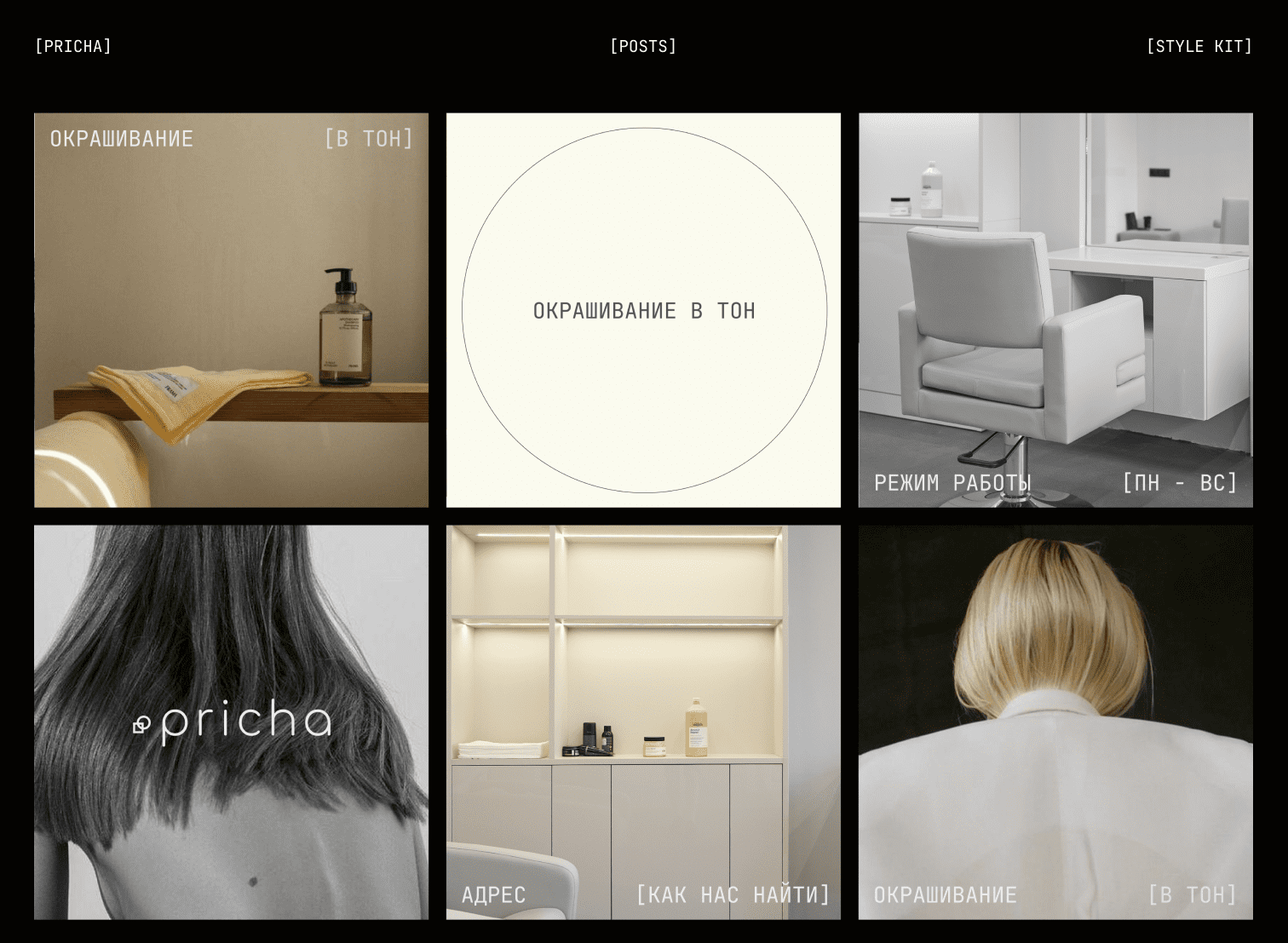 Pricha | Style Kit — Изображение №9 — Интерфейсы, Брендинг на Dprofile