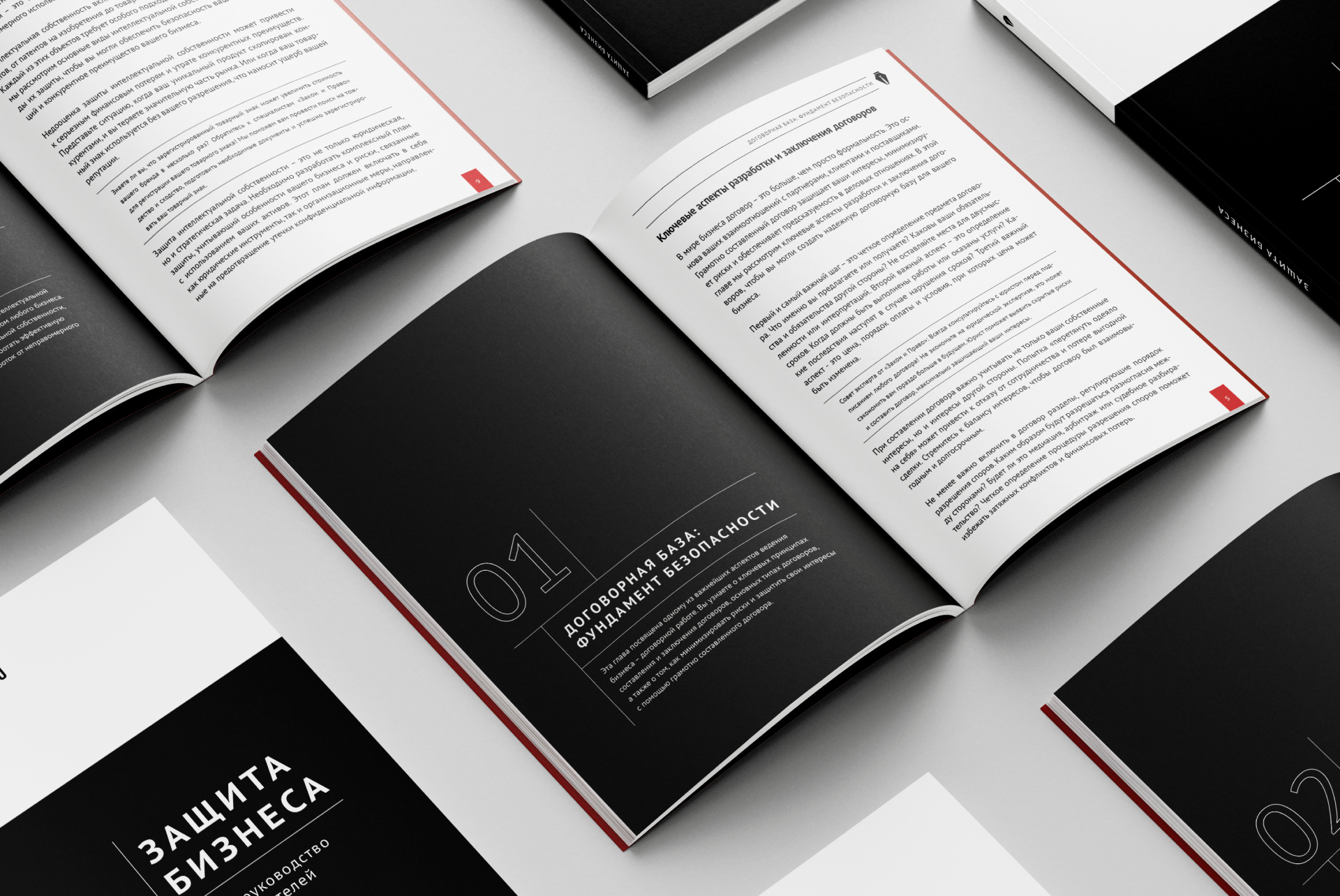 Дизайн и верстка книги — Изображение №2 — Брендинг, Графика на Dprofile