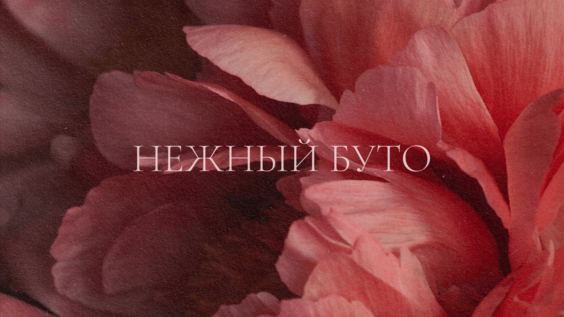 Логотип для цветочного магазина | Flower shop branding — Изображение №1 — Брендинг, Графика на Dprofile