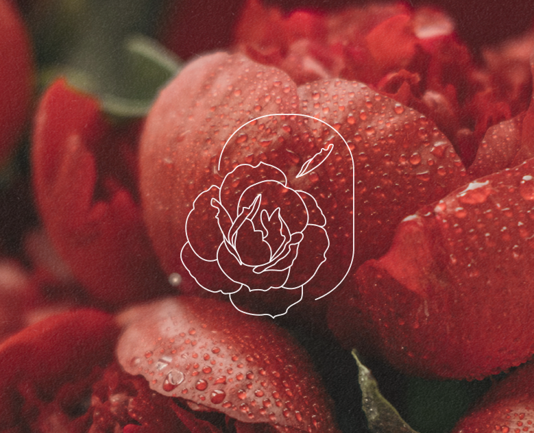Логотип для цветочного магазина | Flower shop branding — Брендинг, Графика на Dprofile