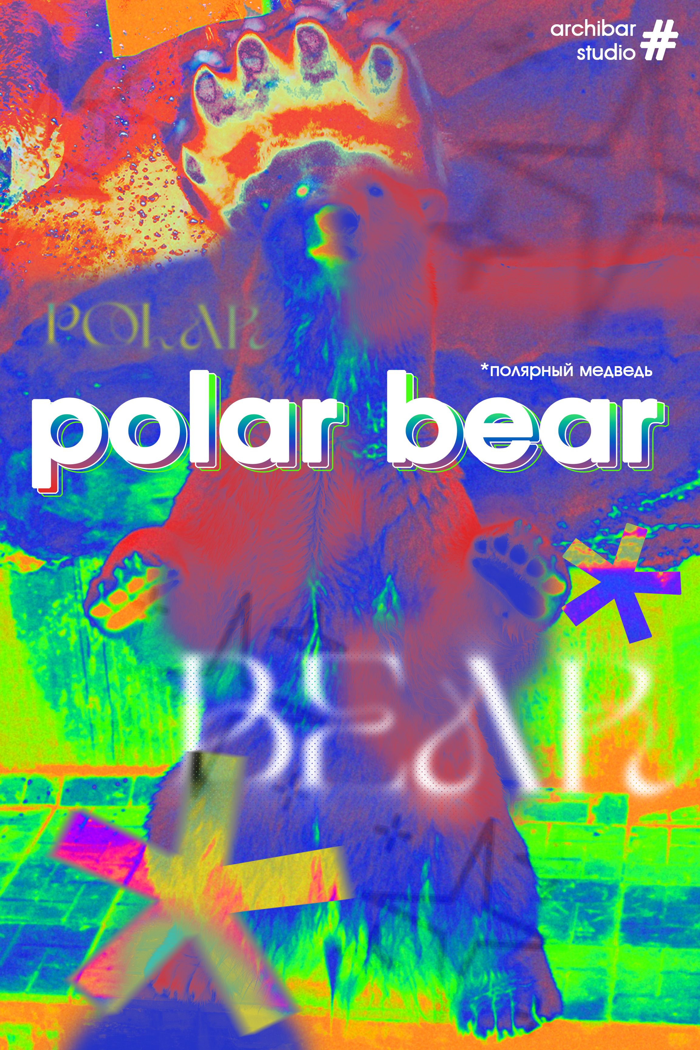 Polar Bear — Изображение №2 — Брендинг на Dprofile