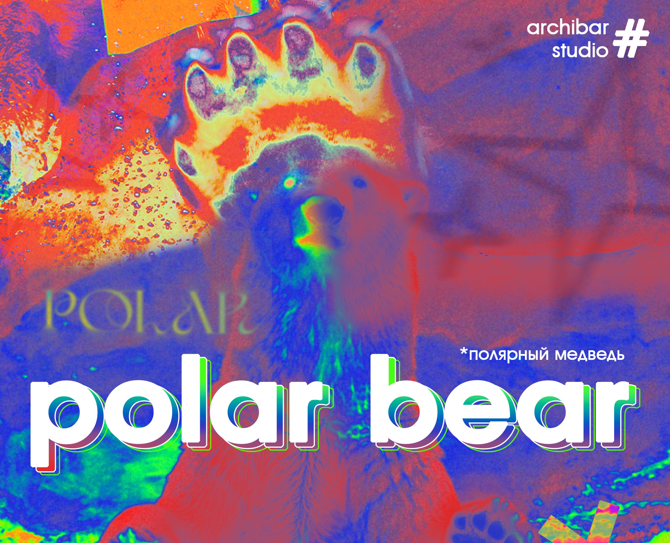 Polar Bear — Брендинг на Dprofile