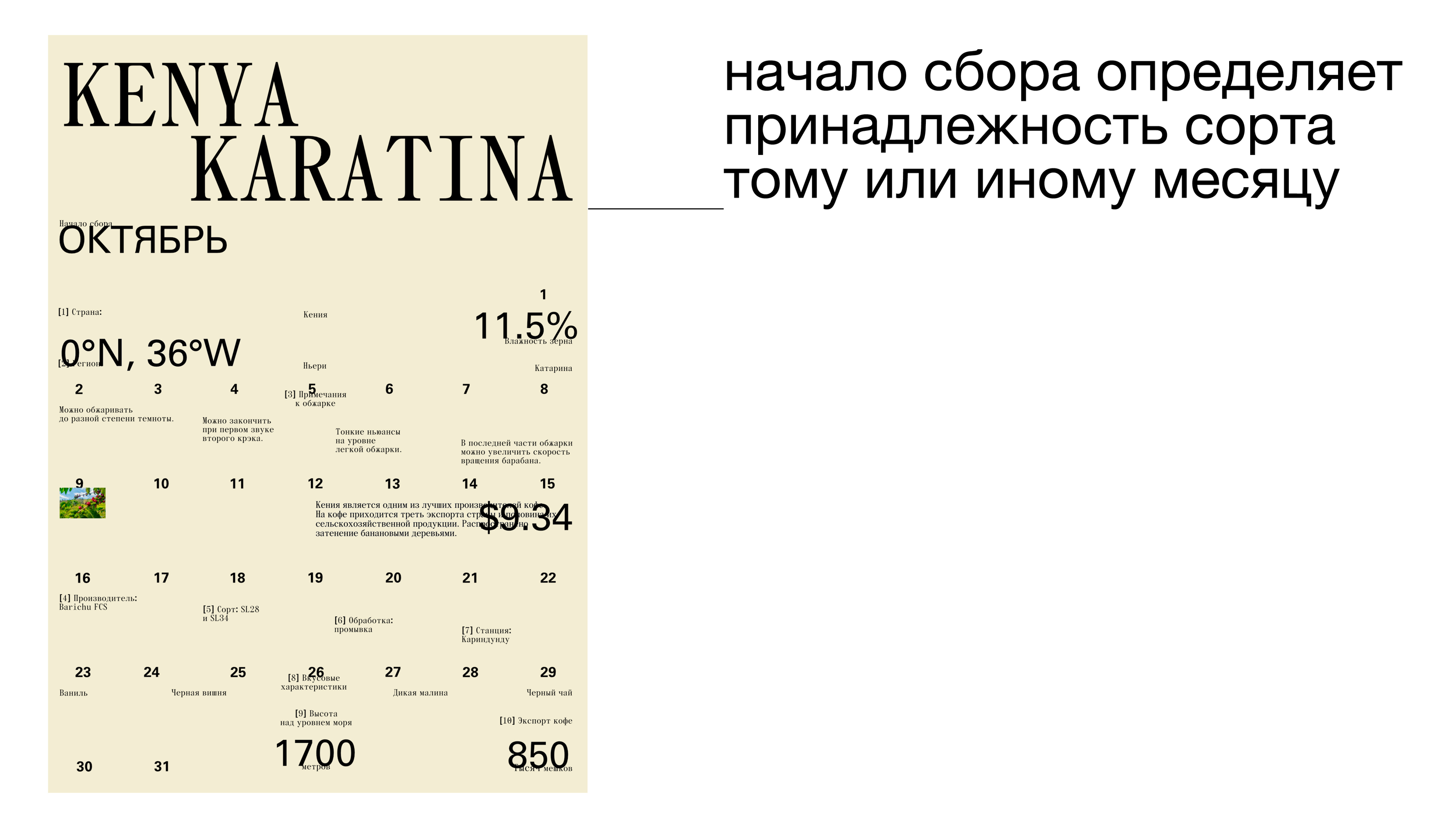 Coffee calendar — Изображение №8 — Брендинг, Графика на Dprofile