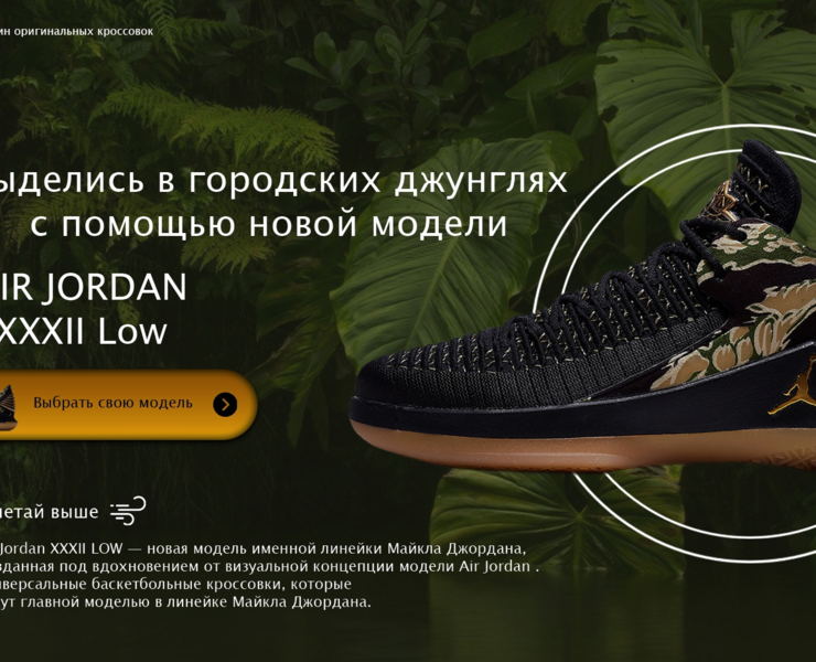 Веб-Дизайн магазина с обувью — Интерфейсы, Брендинг на Dprofile