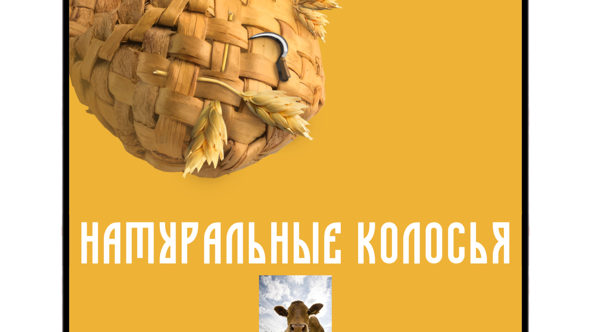 Генычи / Pyrobattle — Изображение №11 — Интерфейсы, Графика на Dprofile