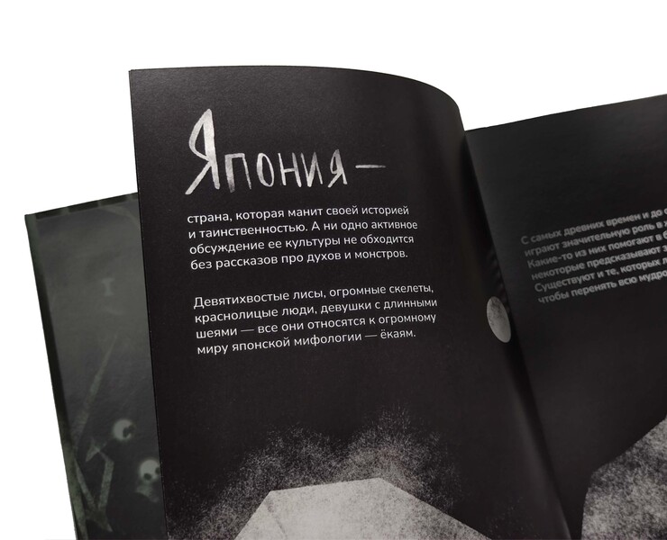 Авторская книга «Путь через мифы: мальчик и ёкаи» — Иллюстрация на Dprofile