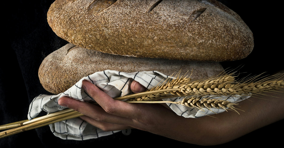 Логотип и брендинг ремесленная выпечка — Изображение №4 — Брендинг на Dprofile