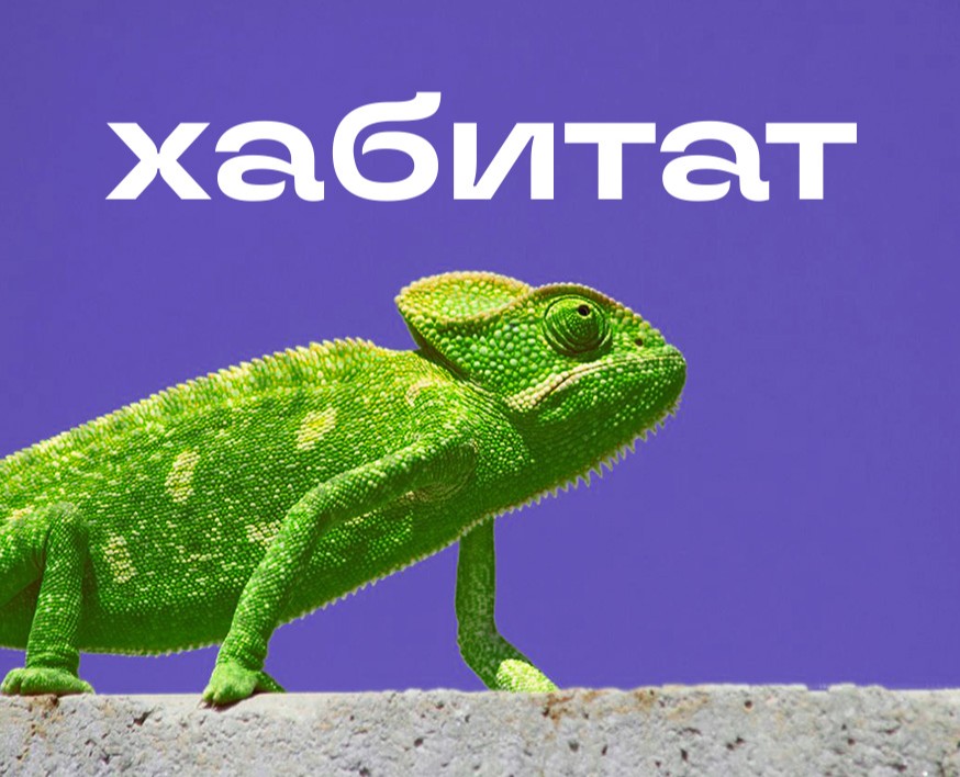«Хабитат» — Брендинг, Графика на Dprofile