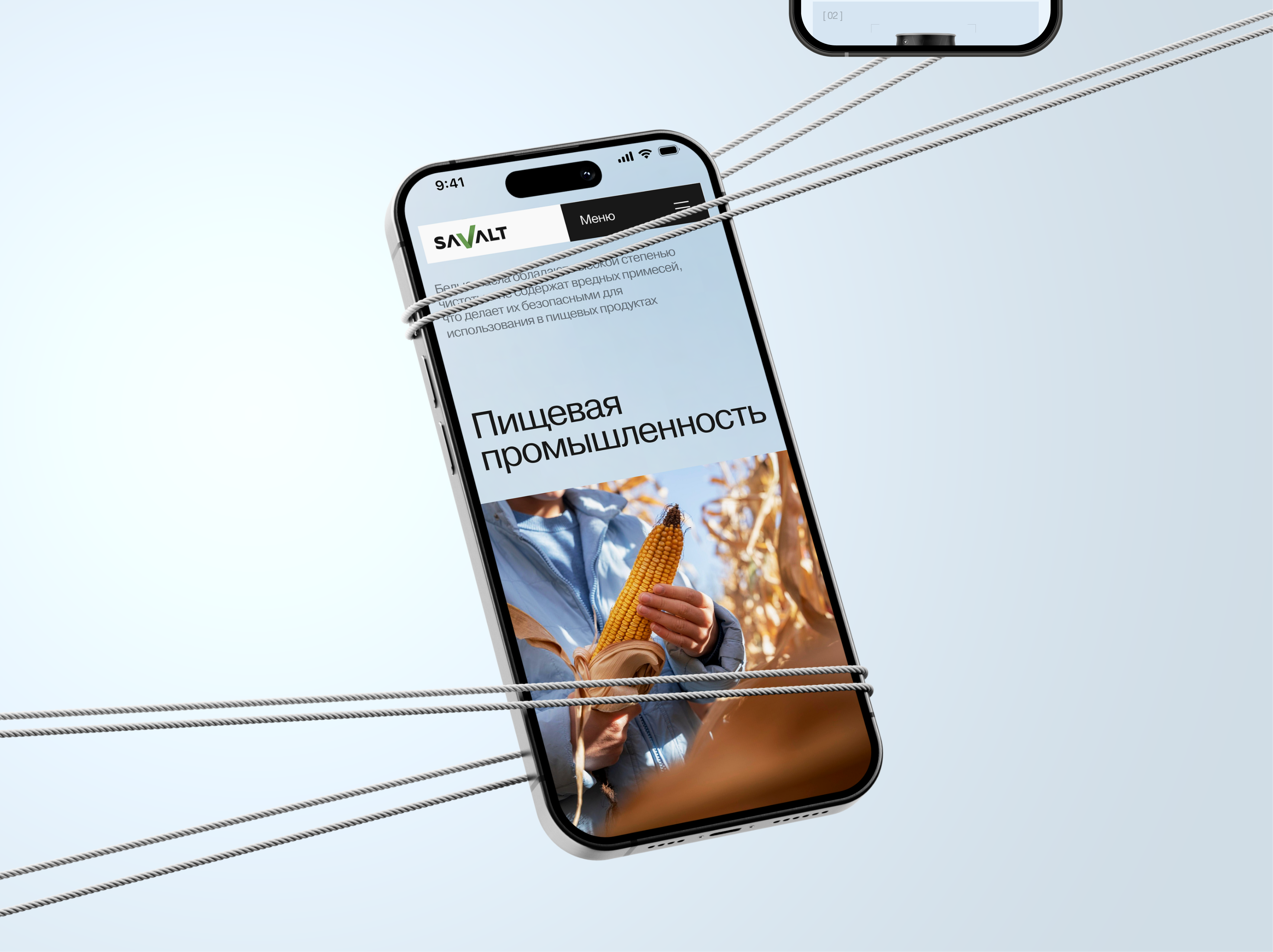 Savalt Oil — Изображение №13 — Интерфейсы, Графика на Dprofile