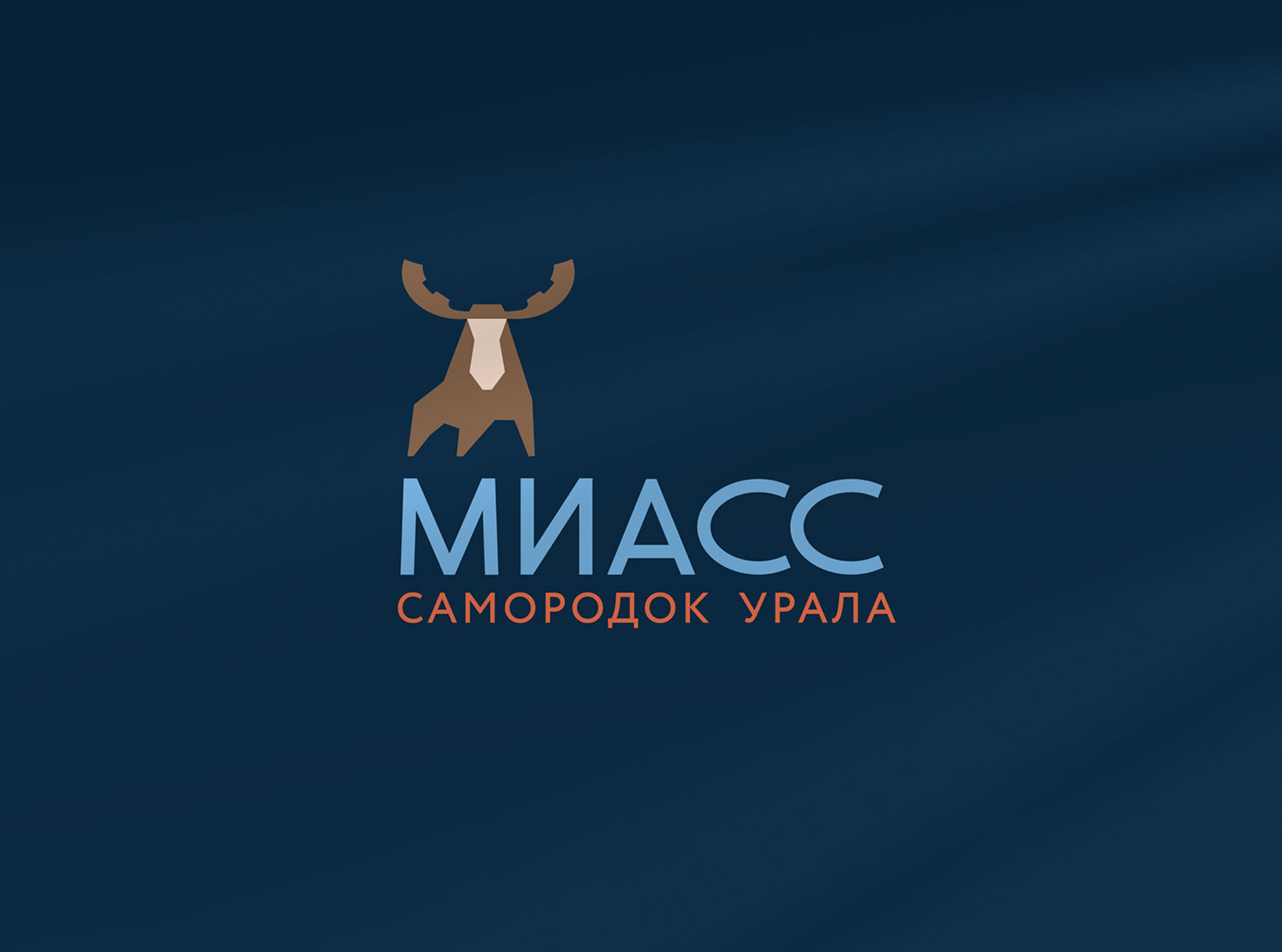 МИАСС — Изображение №8 — Брендинг на Dprofile