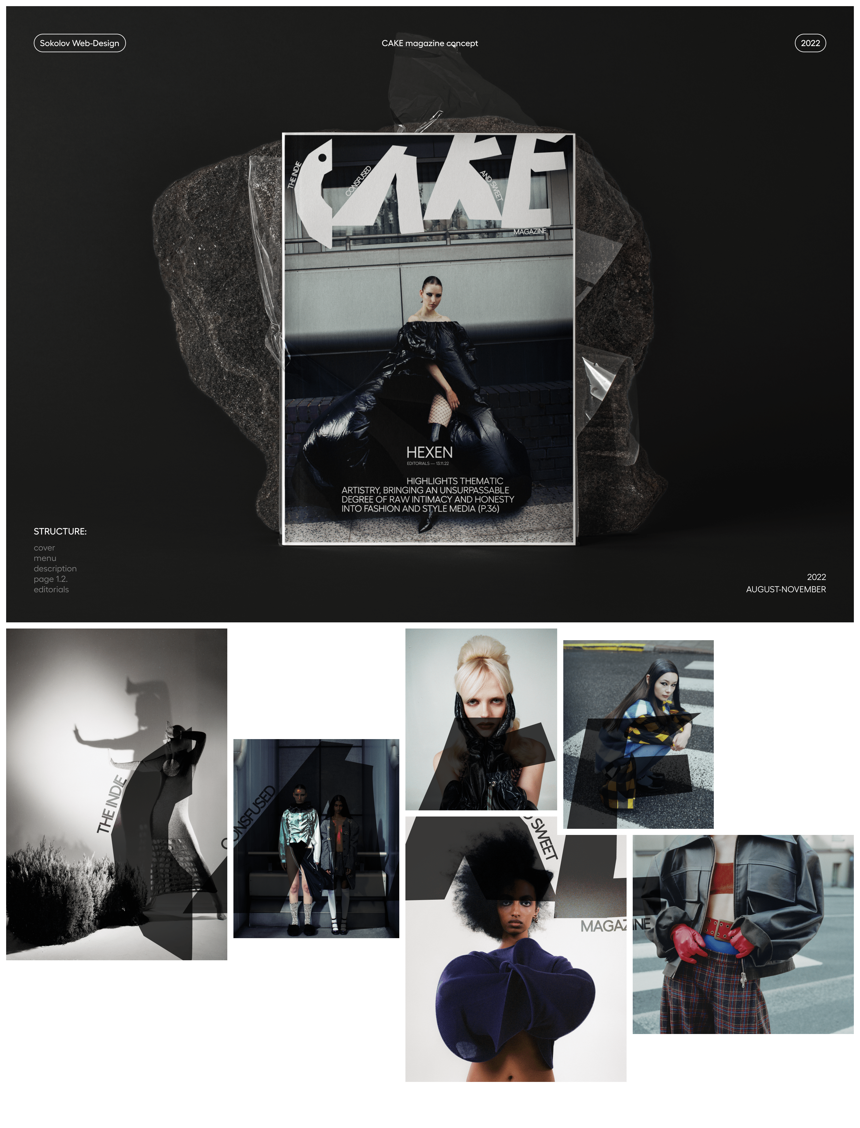 Cake magazine (concept) — Изображение №1 — Интерфейсы, Графика на Dprofile