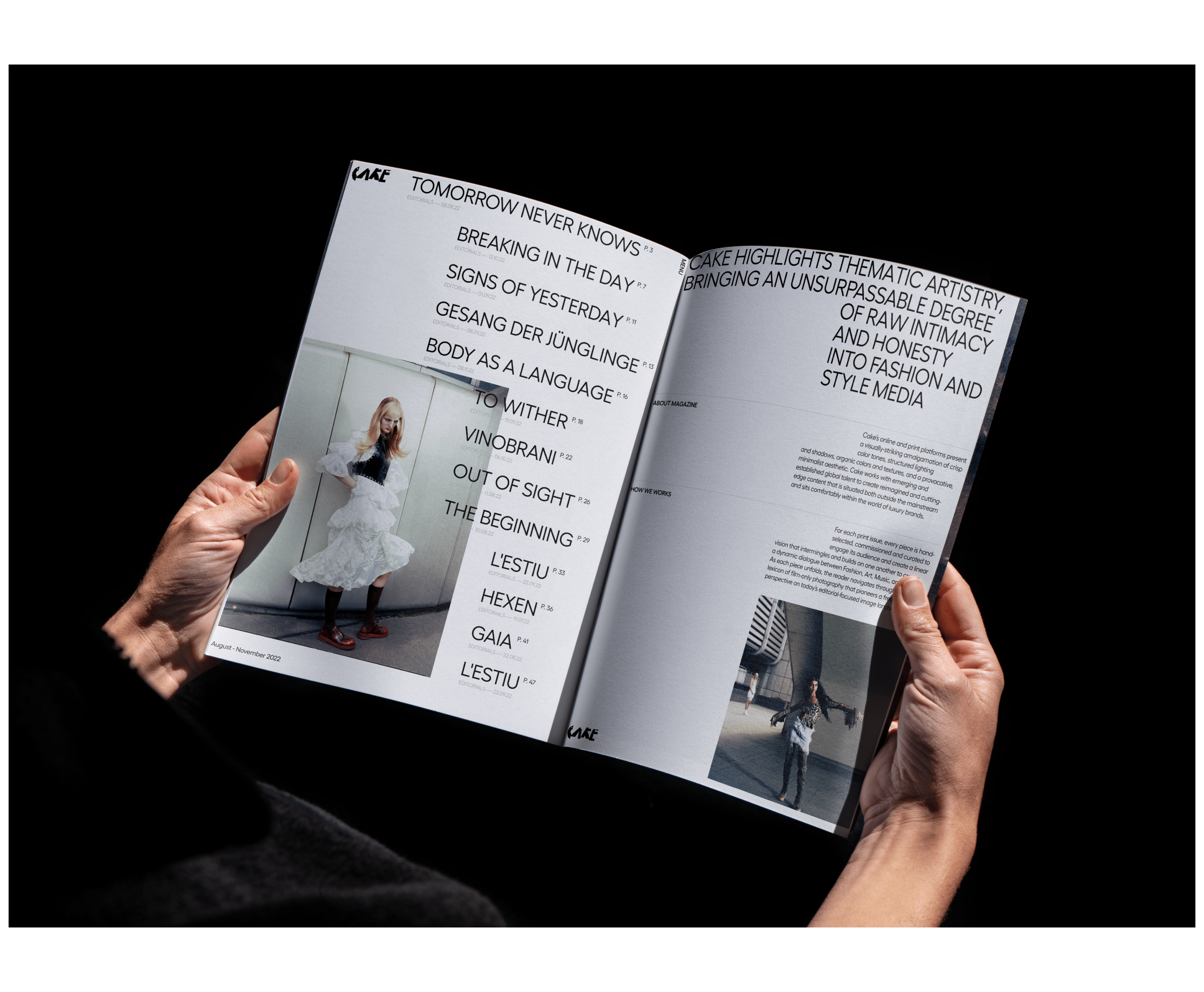 Cake magazine (concept) — Изображение №5 — Интерфейсы, Графика на Dprofile