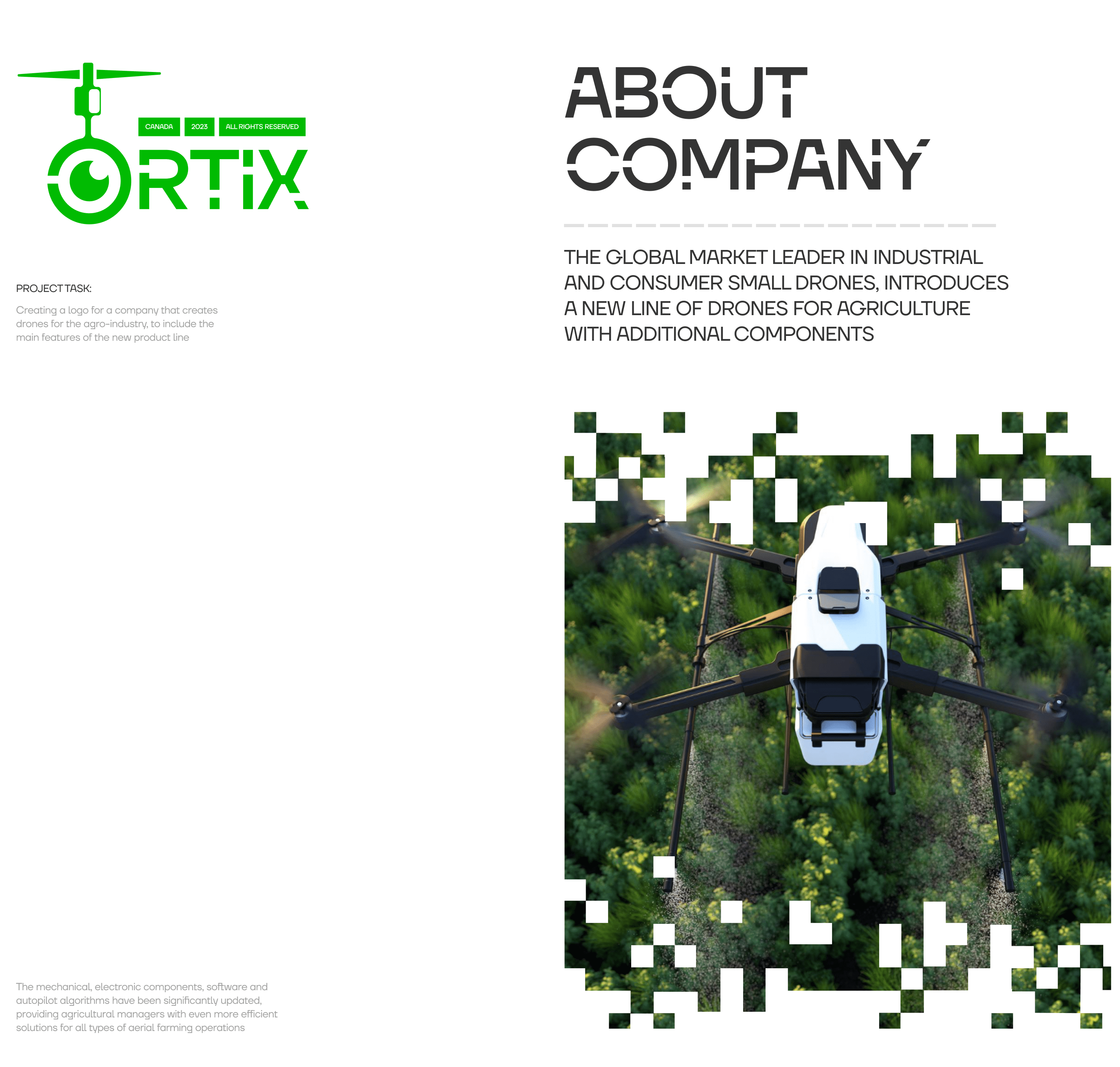 ORTIX — Изображение №2 — Брендинг на Dprofile