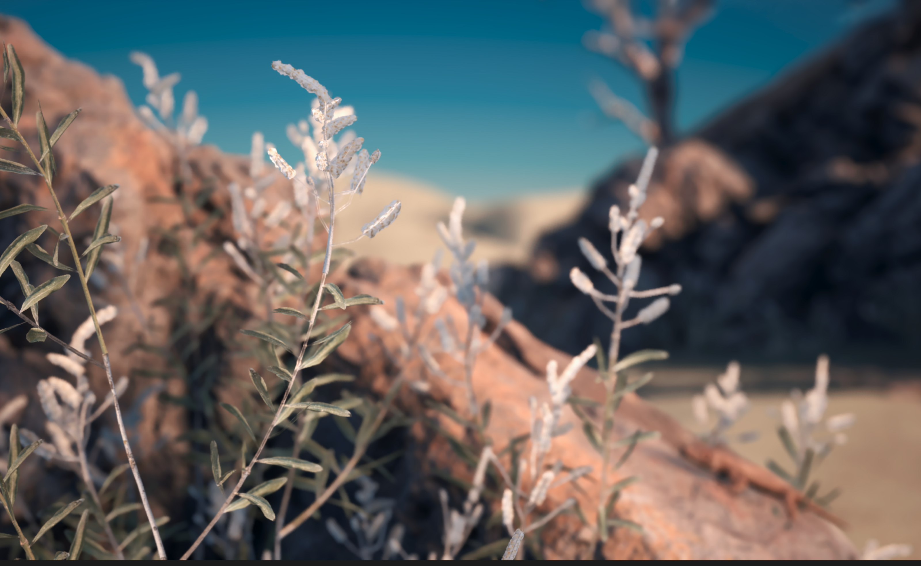 Desert clothes — Изображение №2 — 3D, Анимация на Dprofile