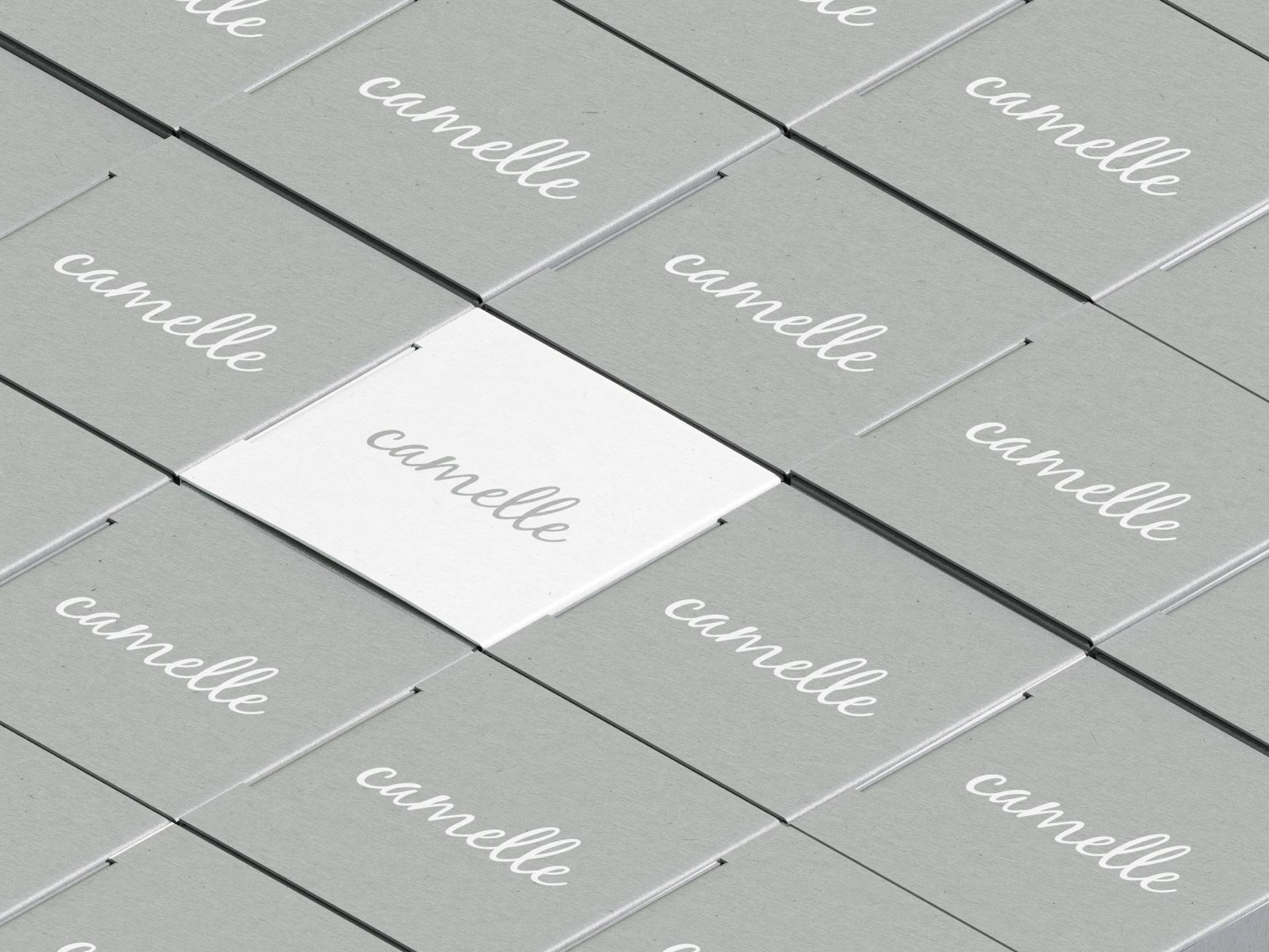 Дизайн Упаковки | Твердый Шампунь — Изображение №3 — Брендинг, Графика на Dprofile