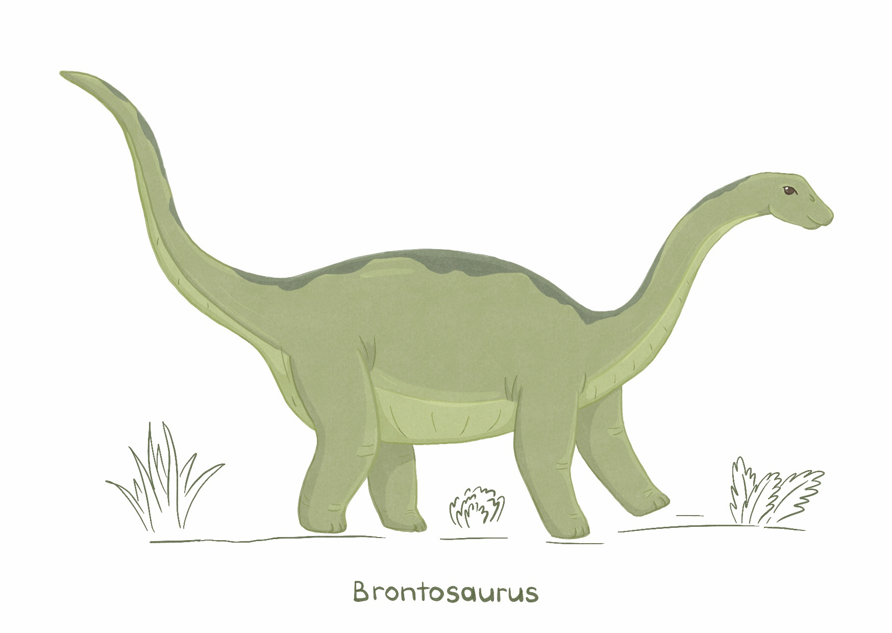 Динозавры — Изображение №7 — Иллюстрация, Графика на Dprofile