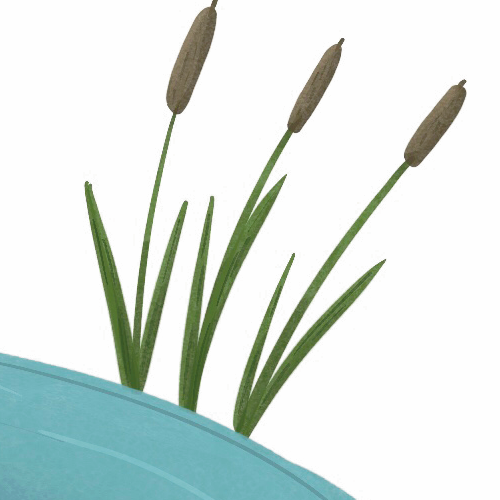 Toad characters | Who let the toads out — Изображение №26 — Иллюстрация, Графика на Dprofile