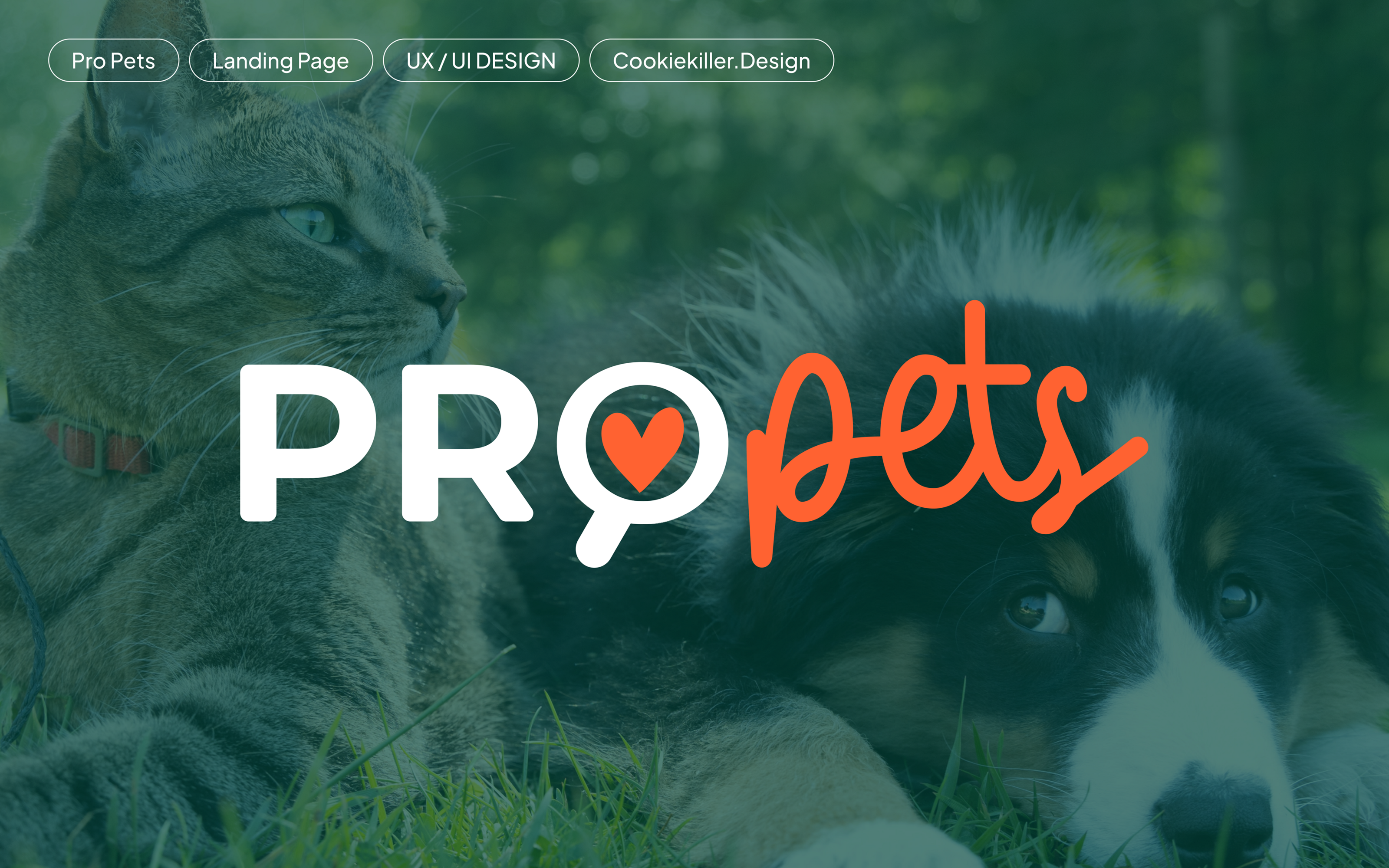 Pro Pets Landing Page — Изображение №1 — Интерфейсы на Dprofile