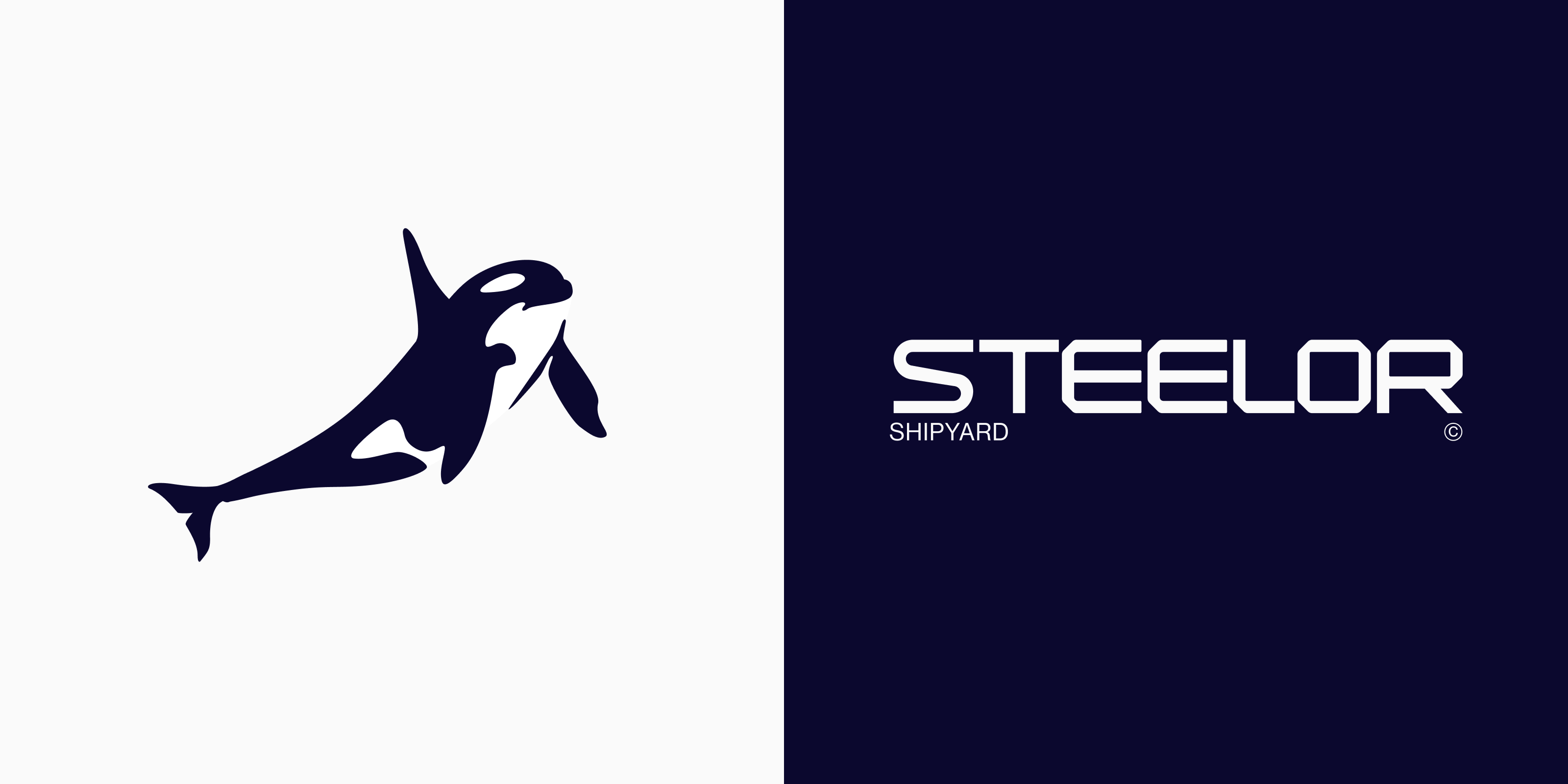 STEELOR | Брендинг — Изображение №12 — Брендинг, Графика на Dprofile