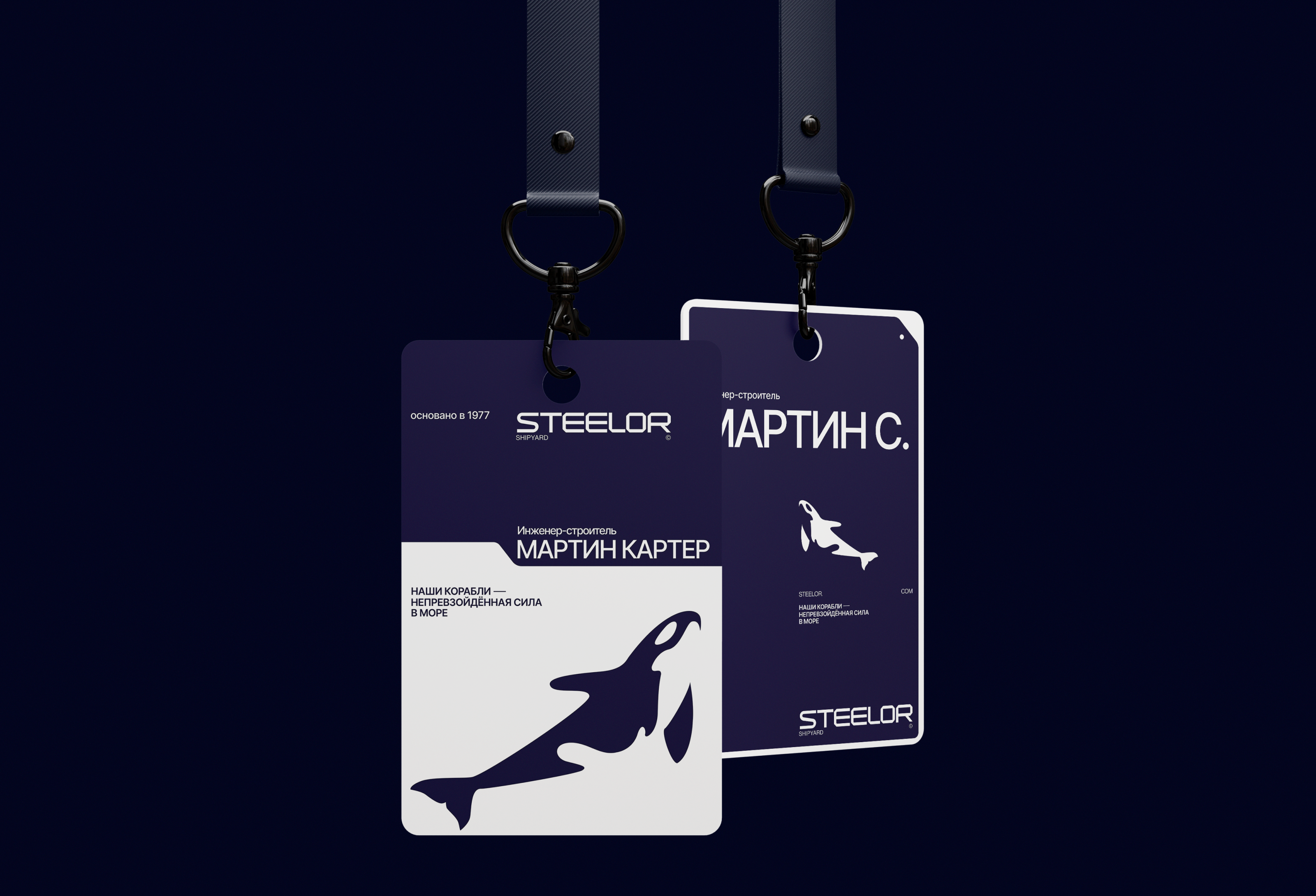 STEELOR | Брендинг — Изображение №20 — Брендинг, Графика на Dprofile