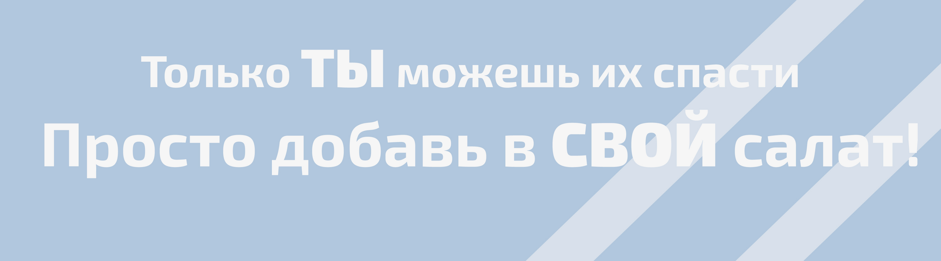 GREEN RAY. Product vegetables design. Character design — Изображение №6 — Брендинг, Иллюстрация на Dprofile