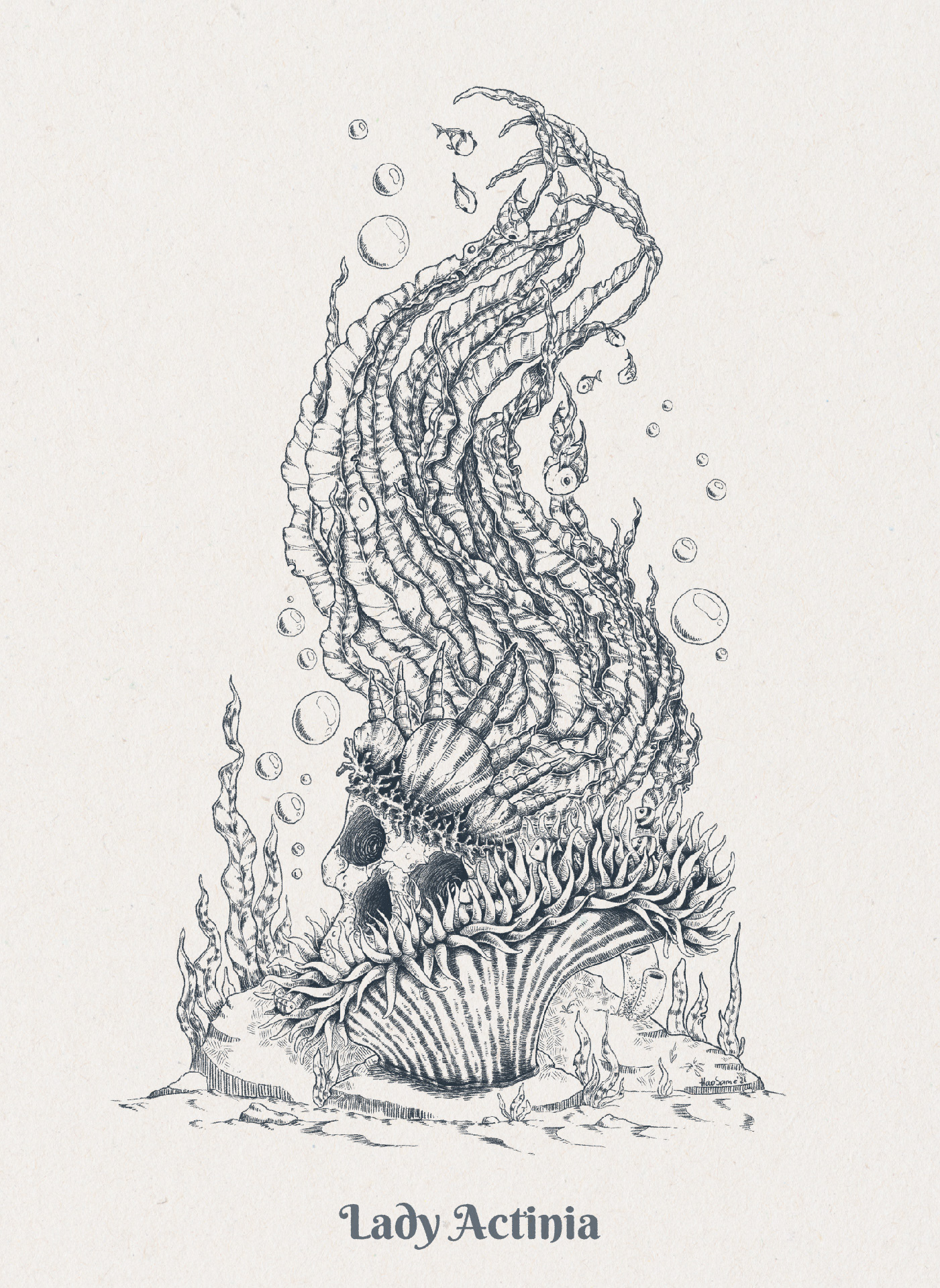 Mermaid Skull — Изображение №4 — Иллюстрация на Dprofile