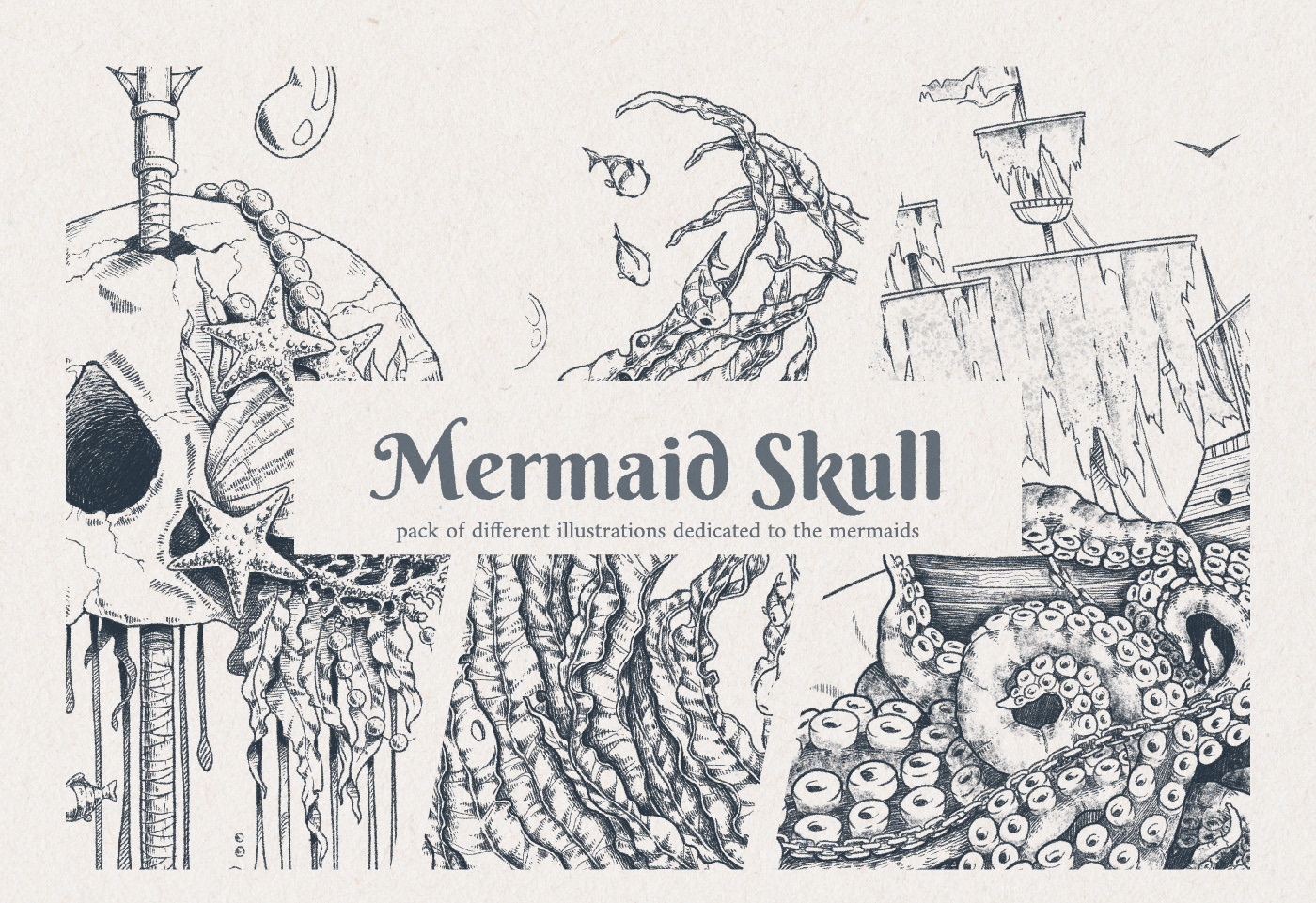 Mermaid Skull — Изображение №1 — Иллюстрация на Dprofile