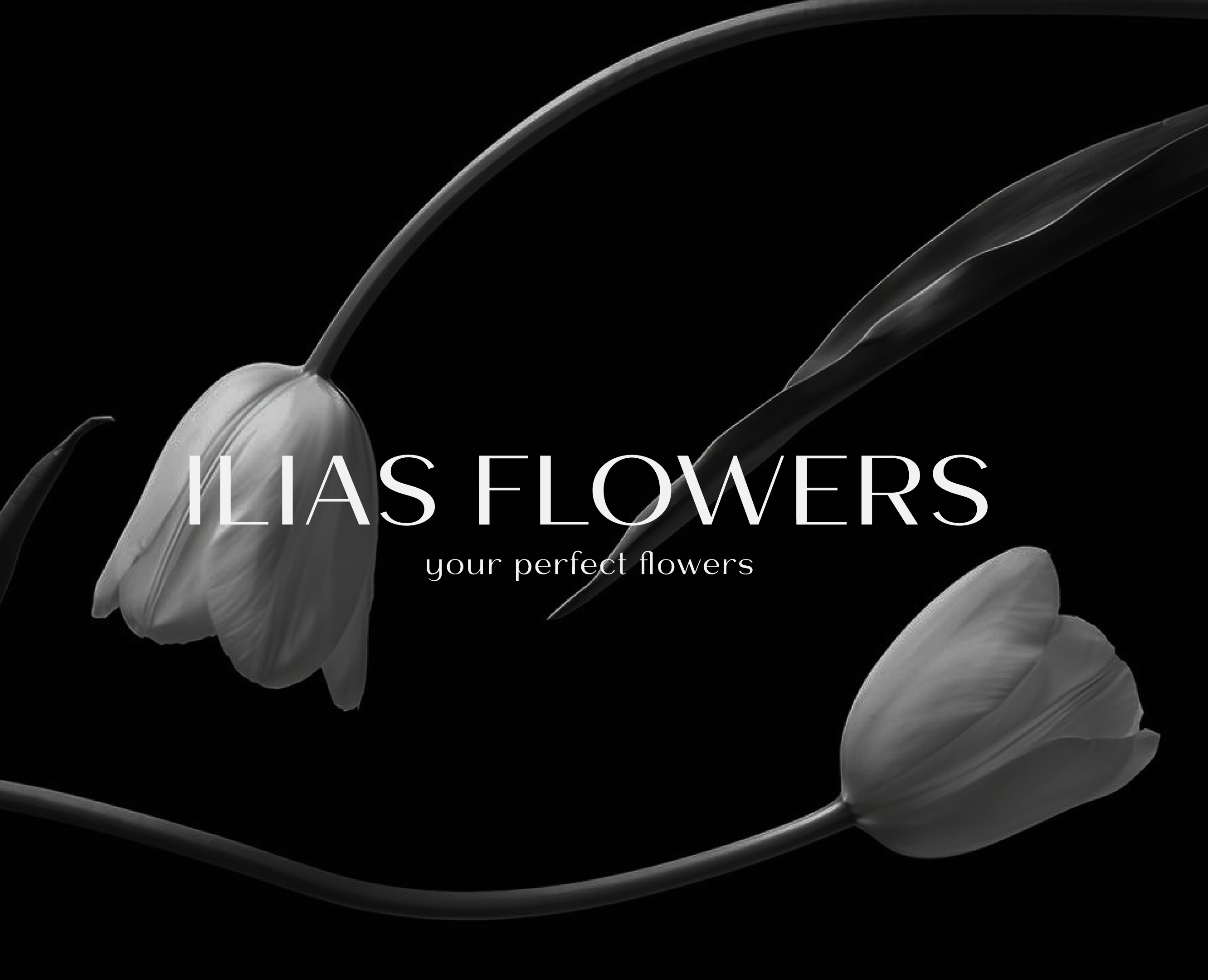 ILIAS FLOWERS — Брендинг на Dprofile