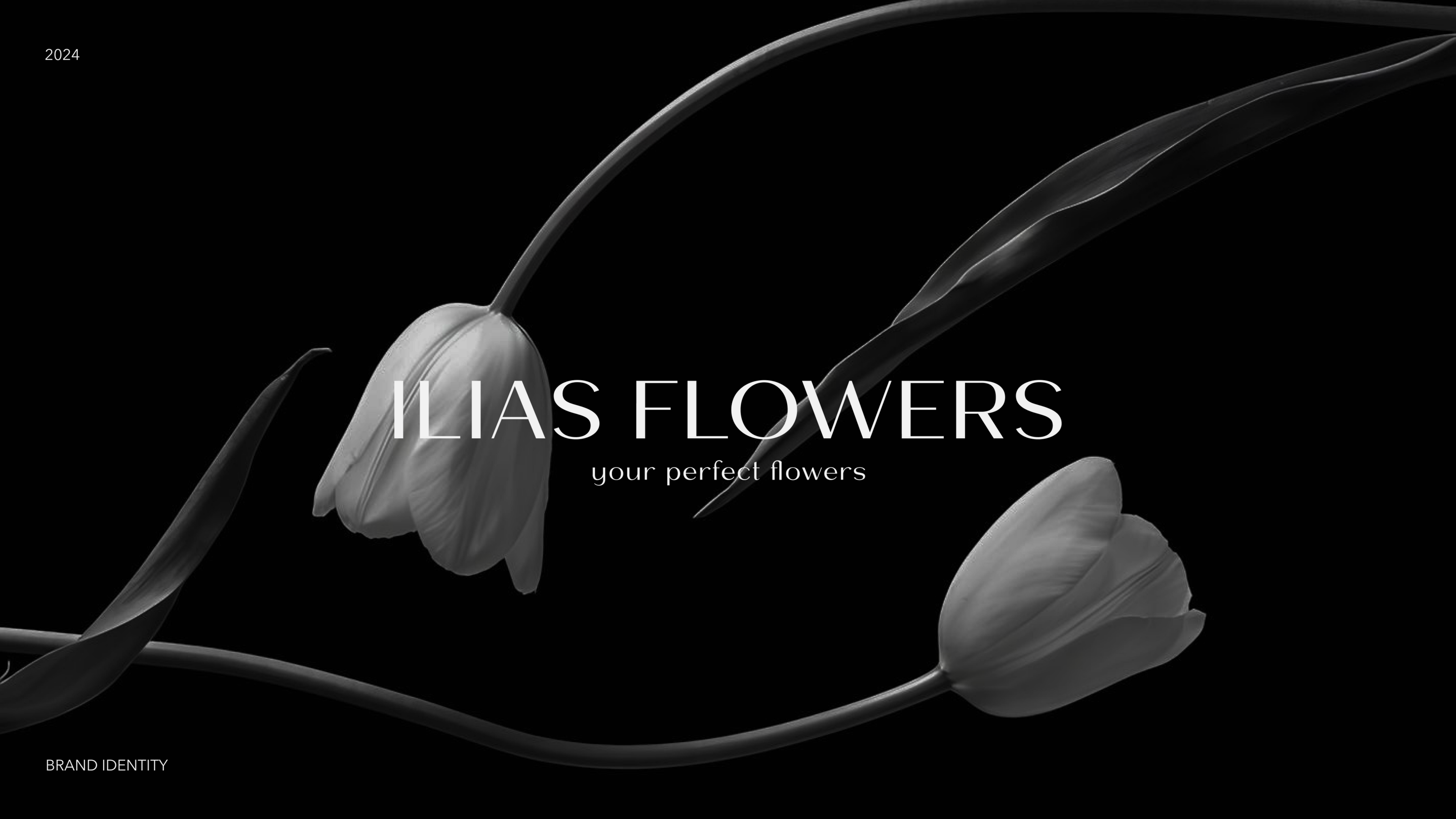 ILIAS FLOWERS — Изображение №1 — Брендинг на Dprofile