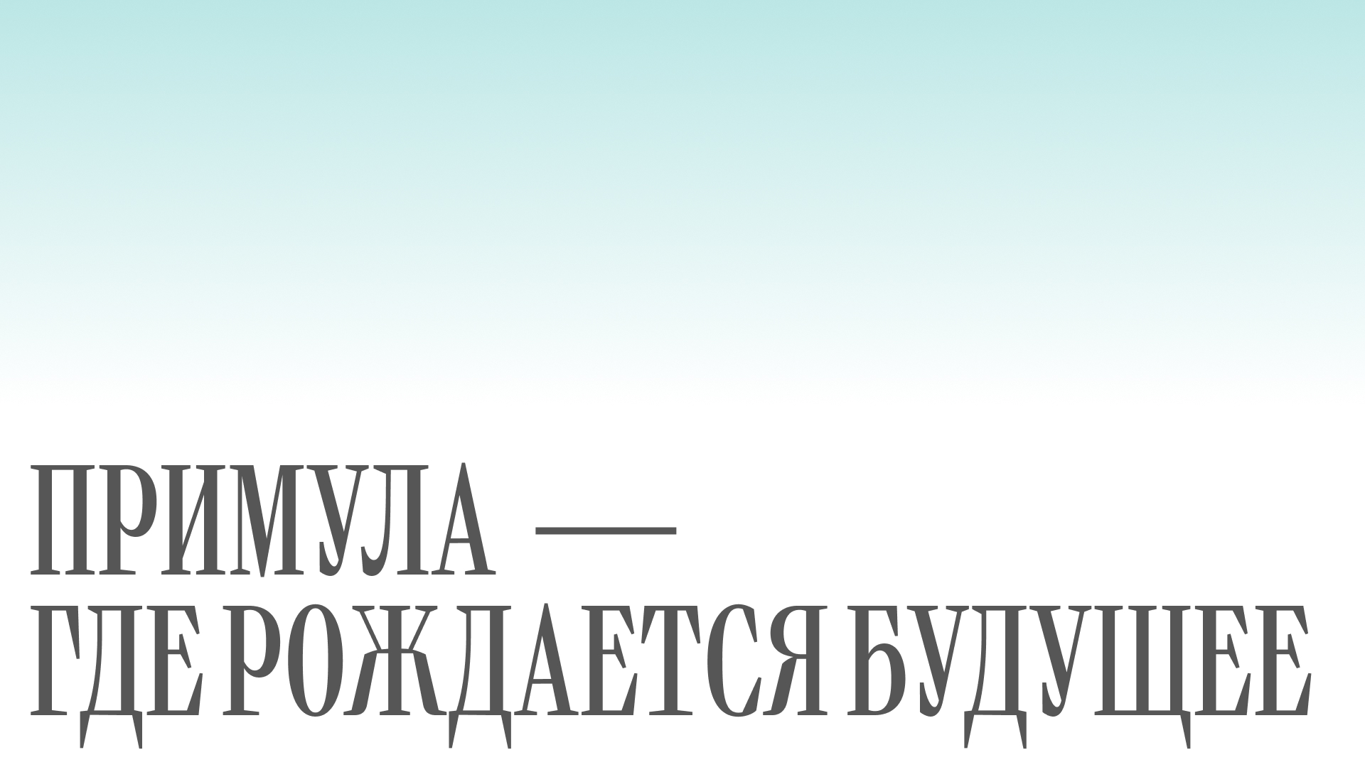Примула — суббренд Лахта Центра — Изображение №21 — Брендинг, Анимация на Dprofile