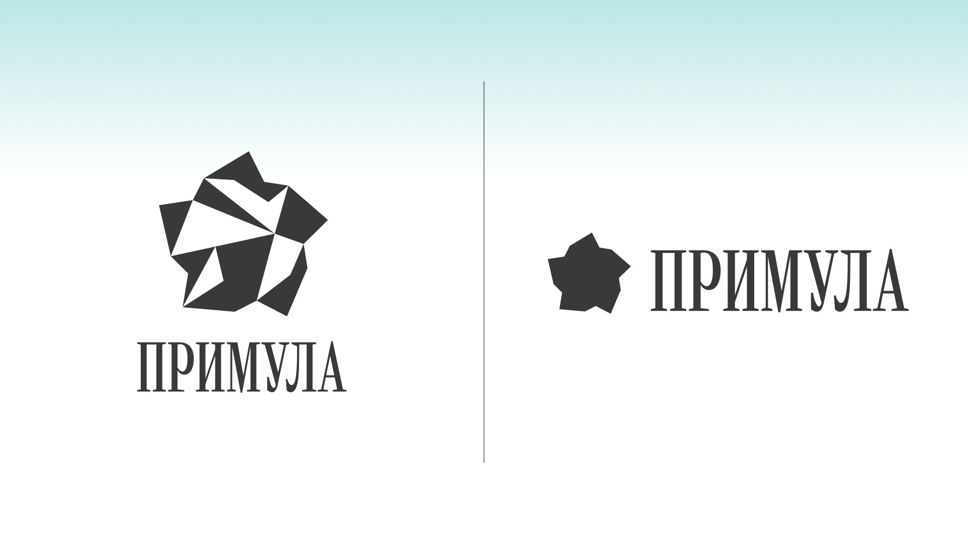 Примула — суббренд Лахта Центра — Изображение №6 — Брендинг, Анимация на Dprofile