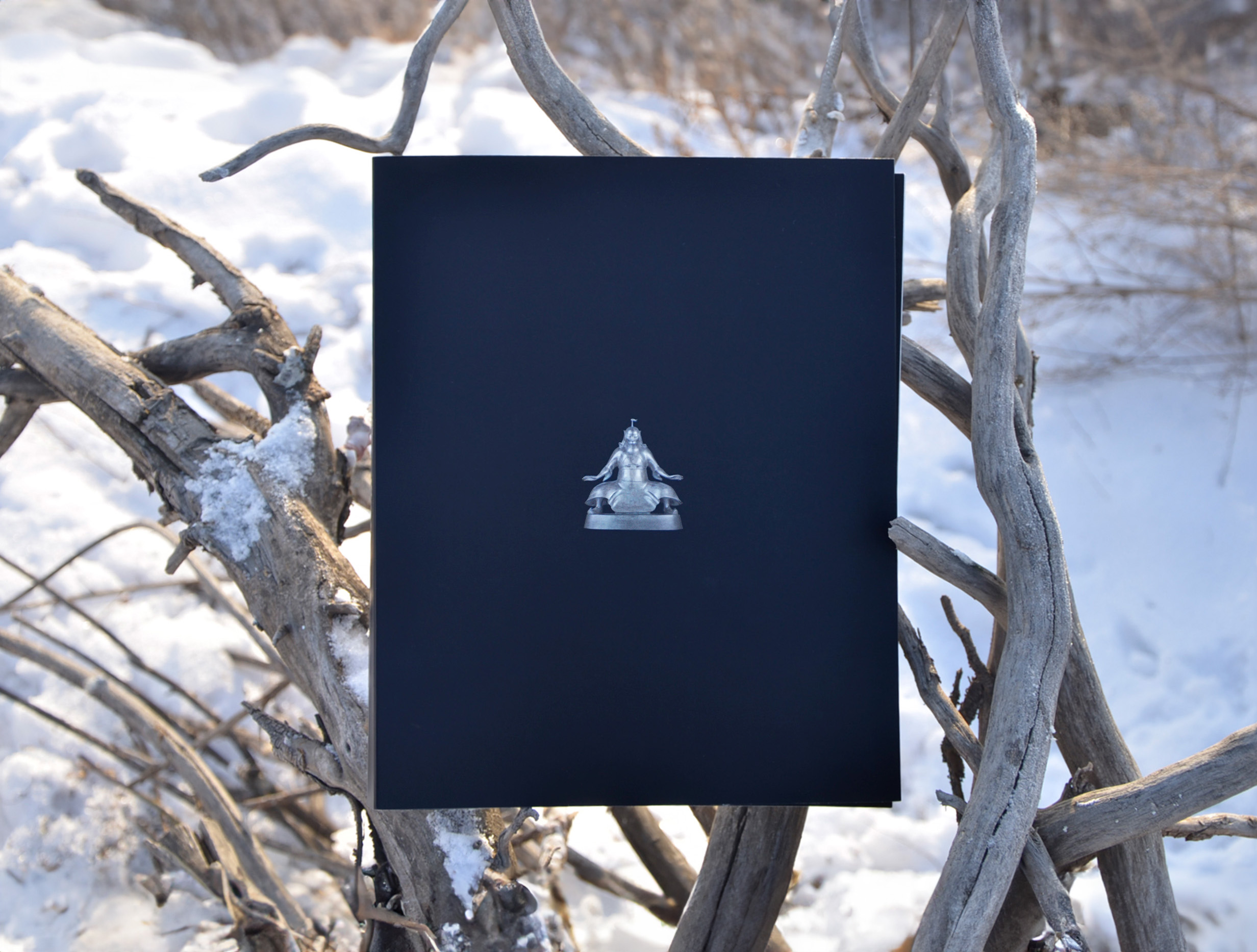 Каталог работ Даши Намдакова — Изображение №1 — Графика на Dprofile