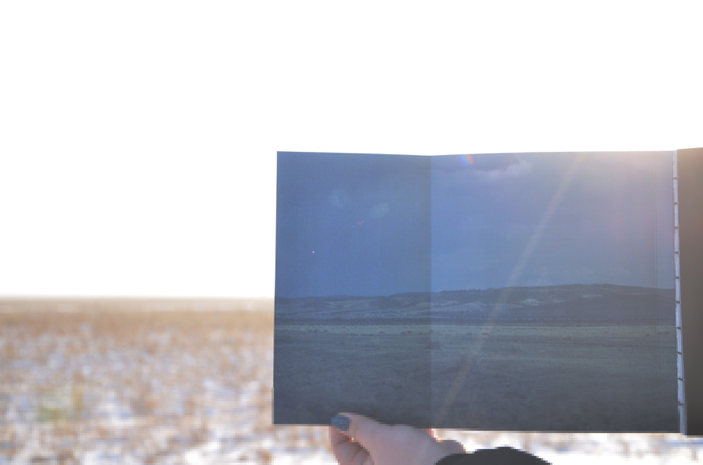 Каталог работ Даши Намдакова — Изображение №7 — Графика на Dprofile