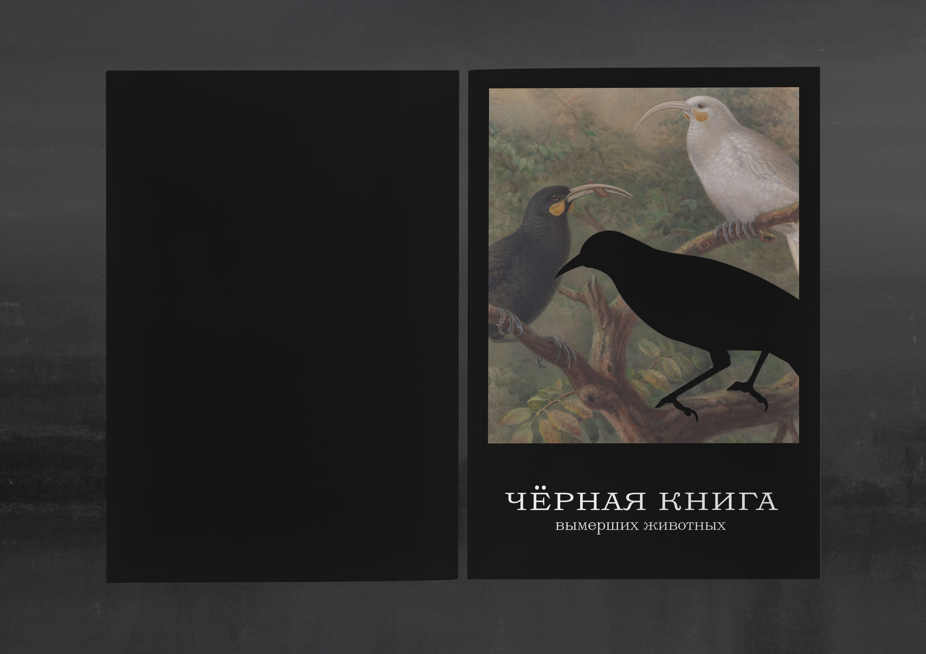 Черная книга вымерших животных — Изображение №2 — Графика на Dprofile