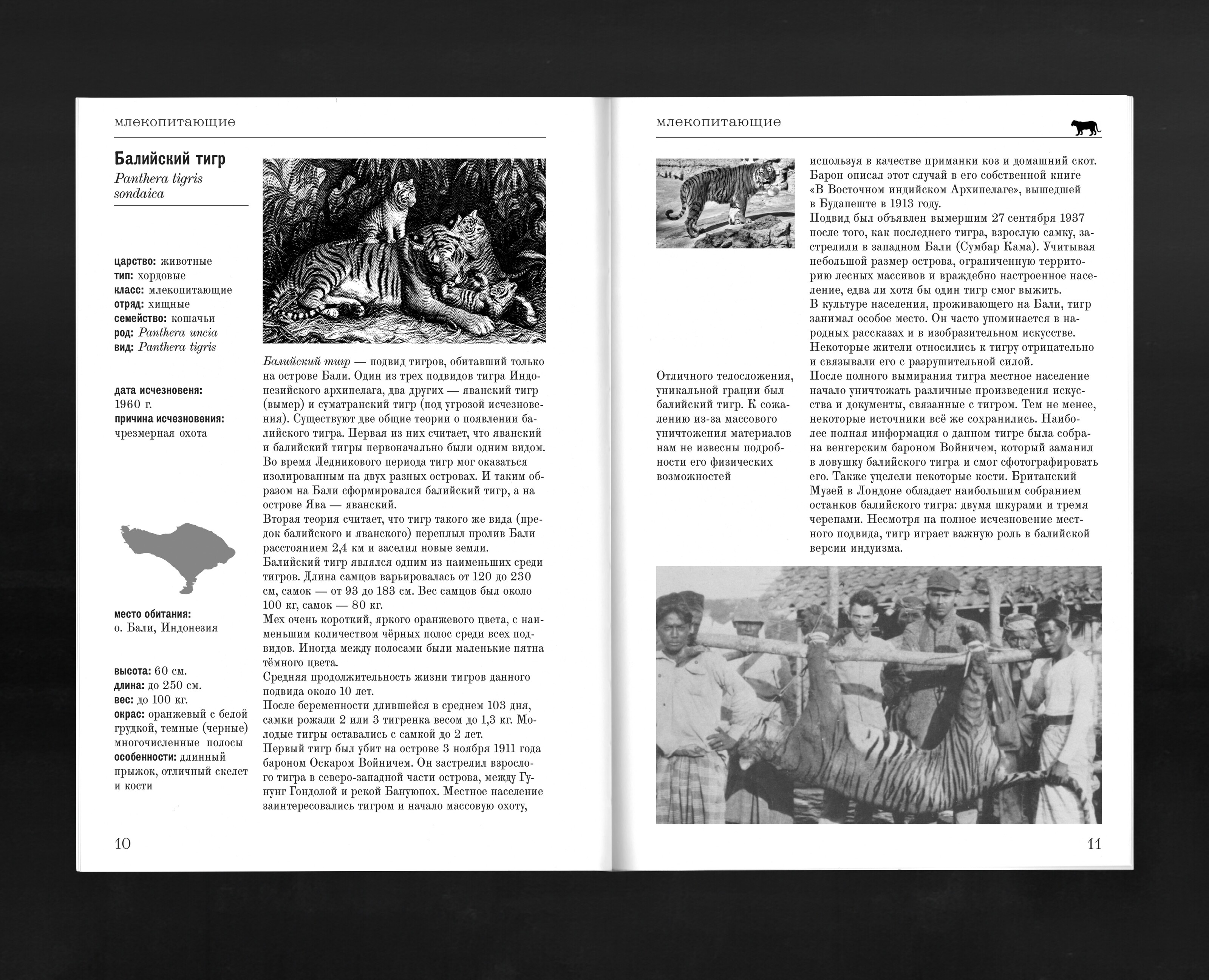 Черная книга вымерших животных — Графика на Dprofile