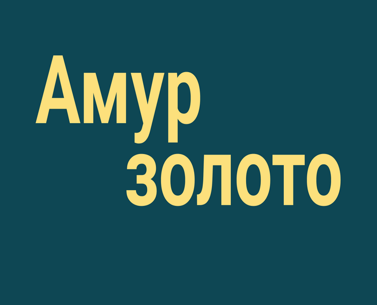 Золотодобывающее предприятие «Амур Золото» — Интерфейсы на Dprofile
