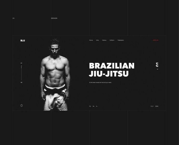 Brazilian jiu-jitsu website concept на Dprofile