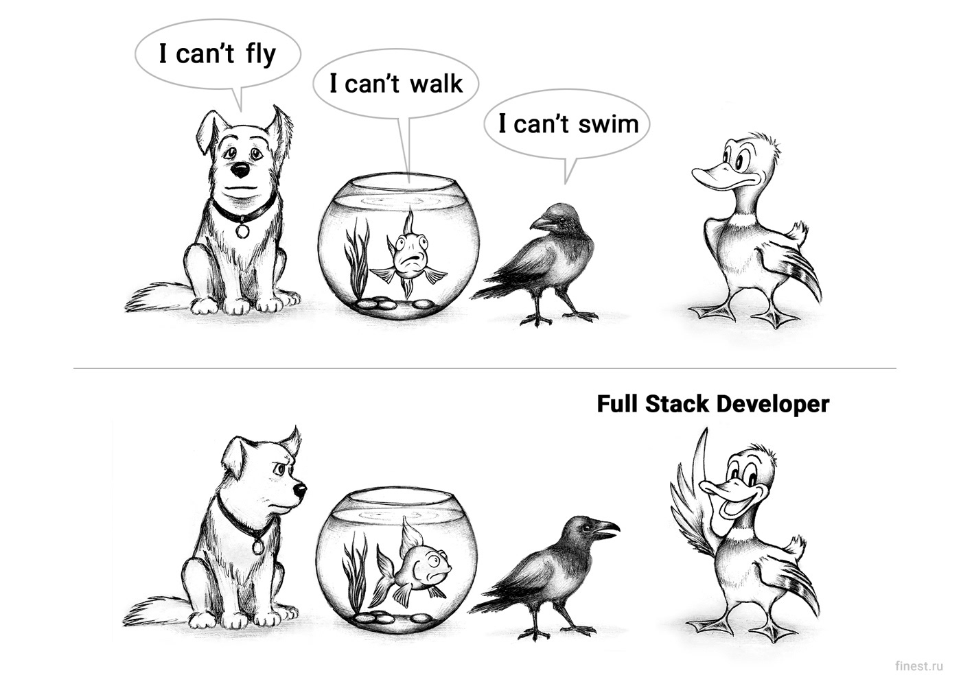 Full Stack Developer meme — Изображение №2 — Графика, Анимация на Dprofile