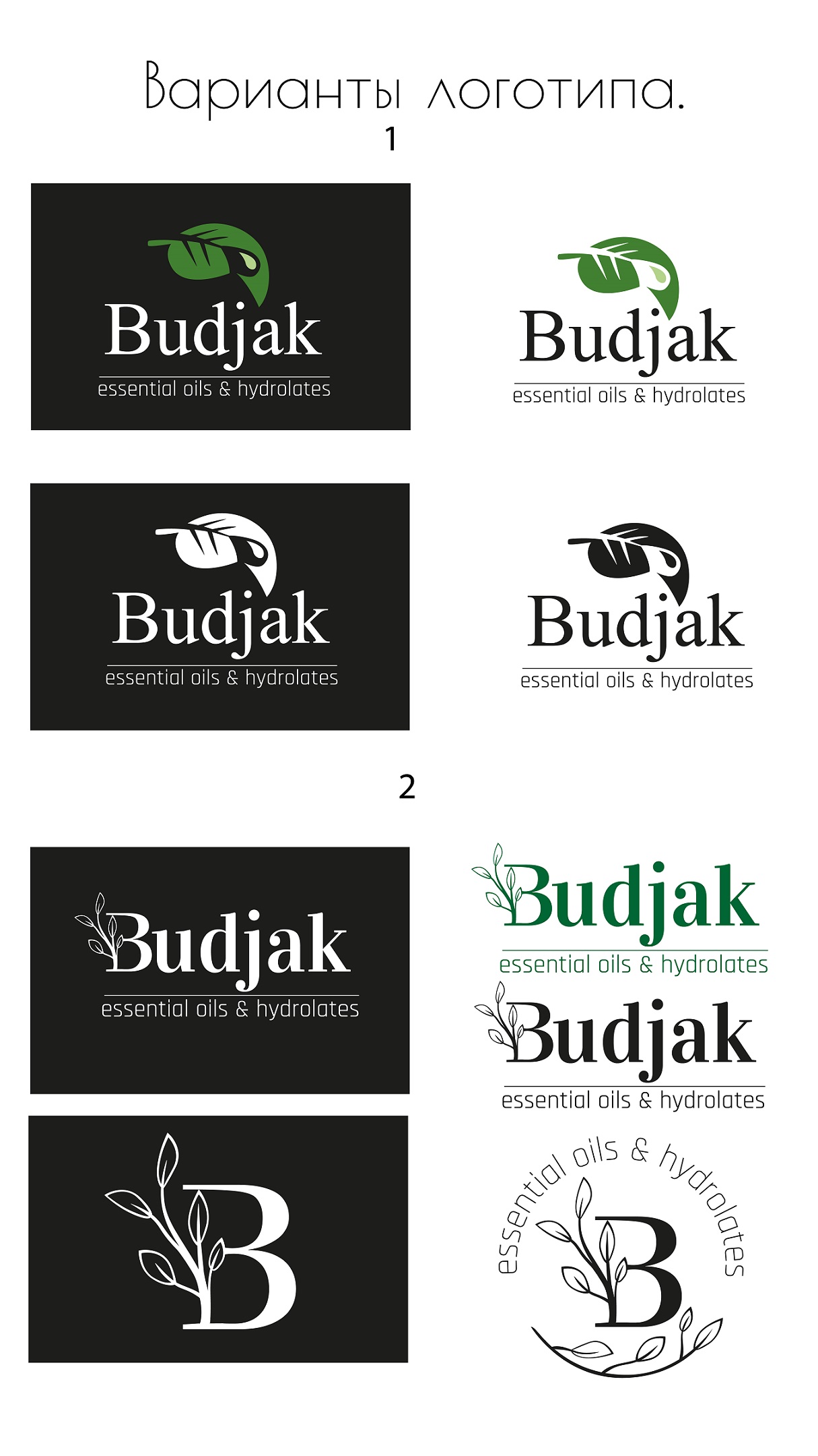 Budjak брендинг — Изображение №2 — Брендинг на Dprofile