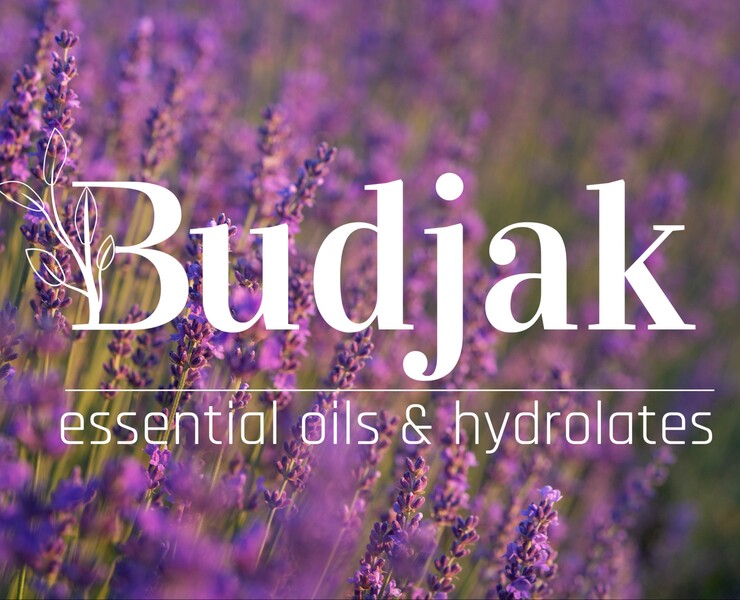 Budjak брендинг — Брендинг на Dprofile