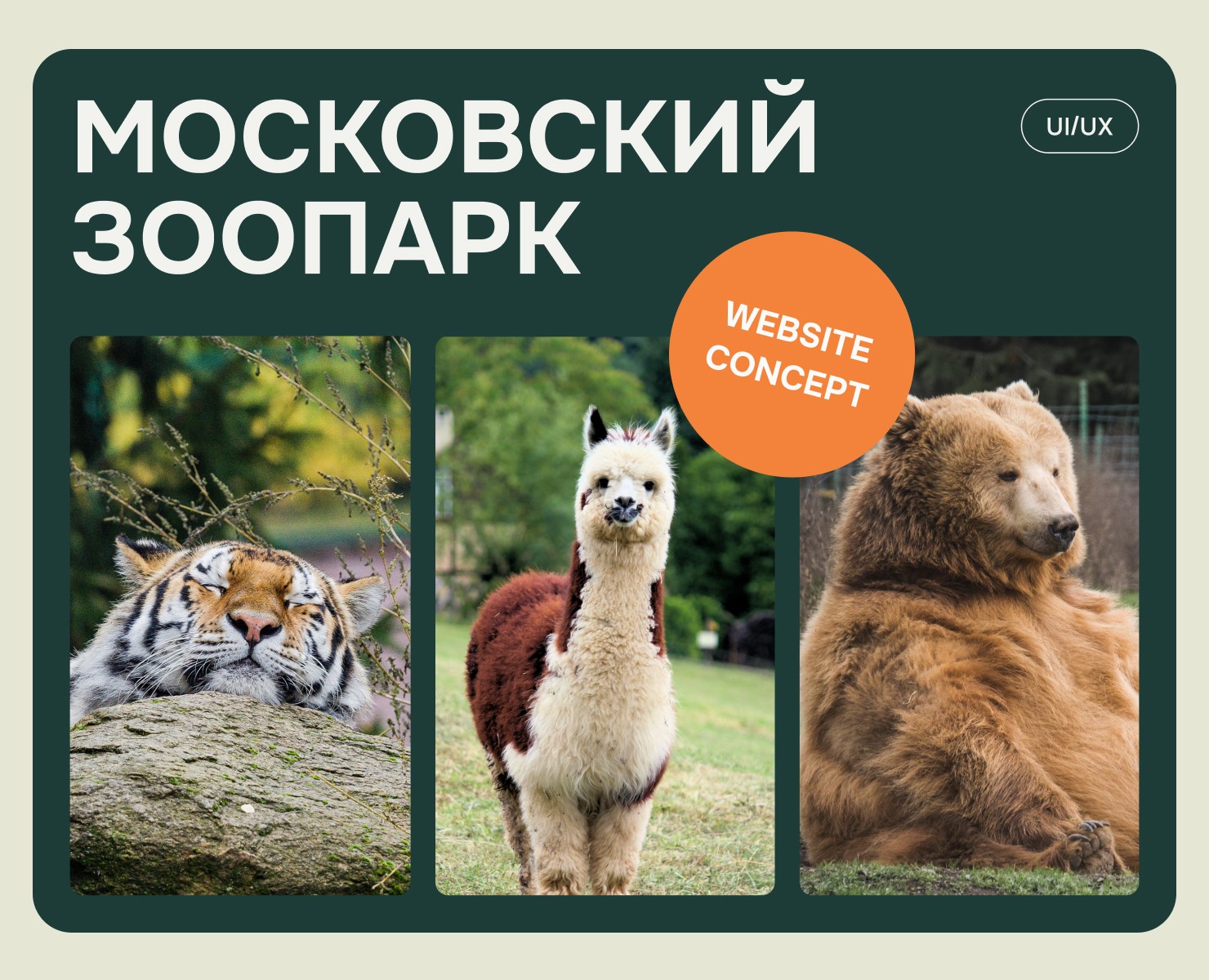 Концепт редизайна Московского зоопарка — Интерфейсы на Dprofile