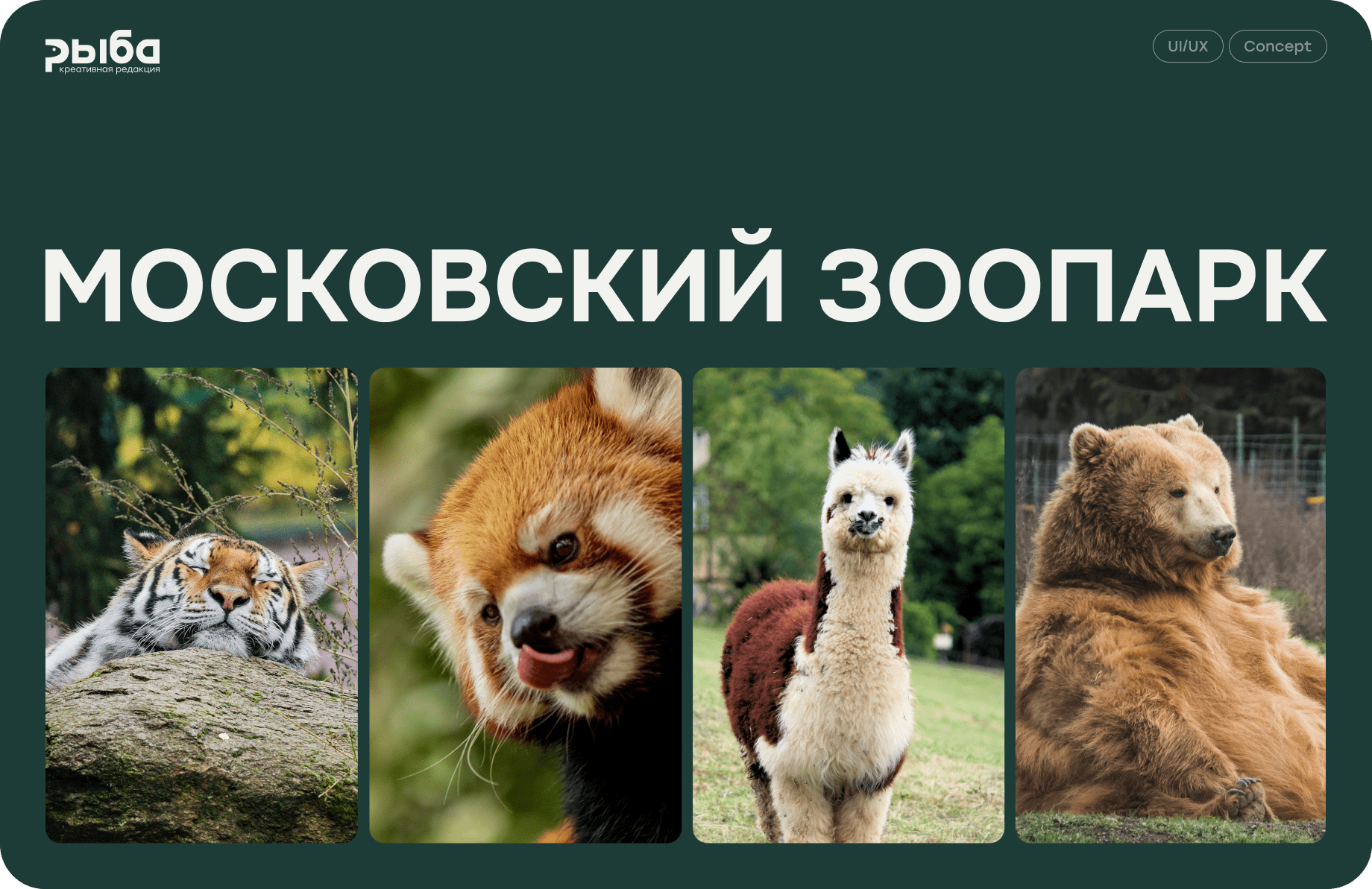 Концепт редизайна Московского зоопарка — Изображение №1 — Интерфейсы на Dprofile