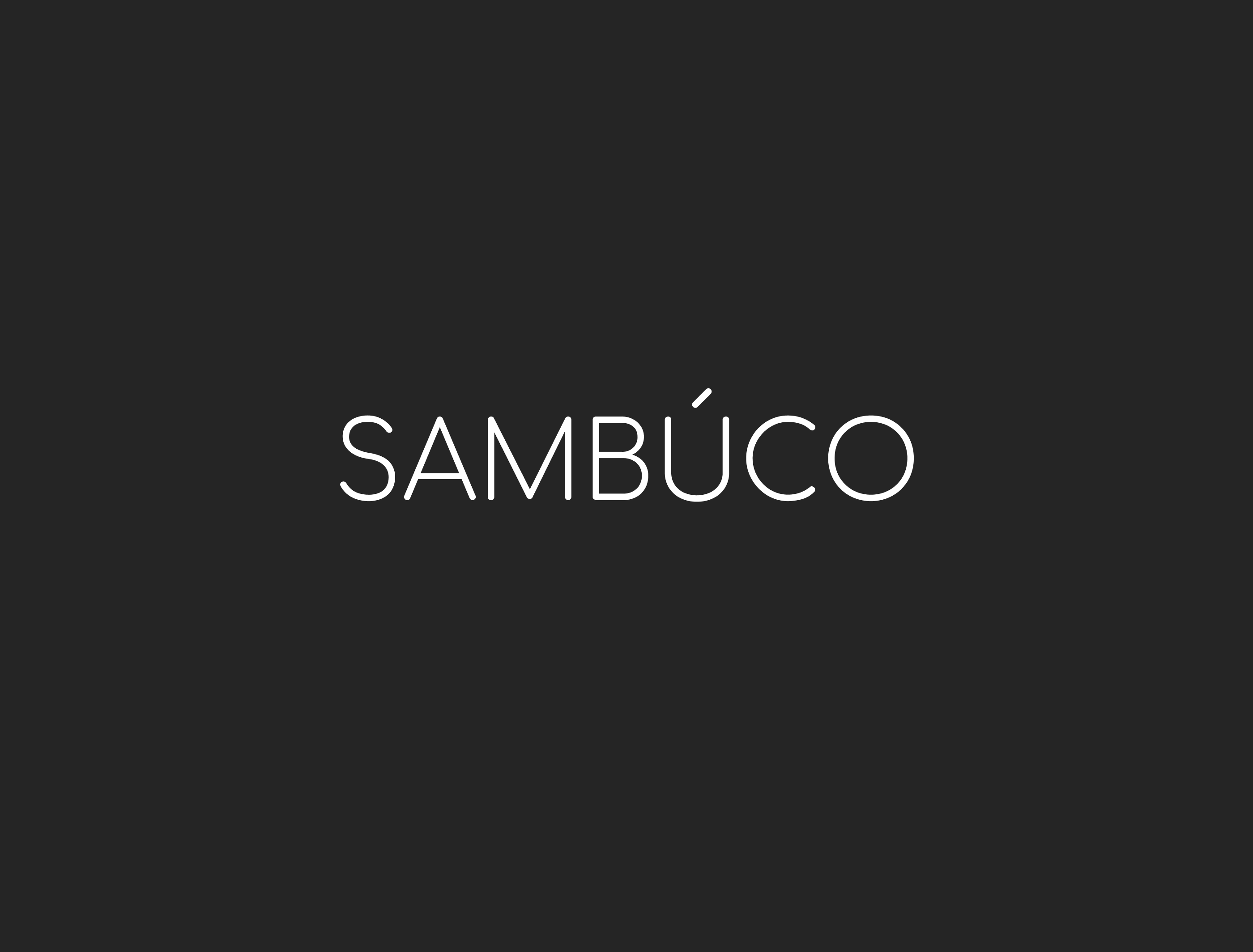 Логотип Logotype/ Фирменный стиль сумки и аксессуары — Изображение №14 — Брендинг, Графика на Dprofile