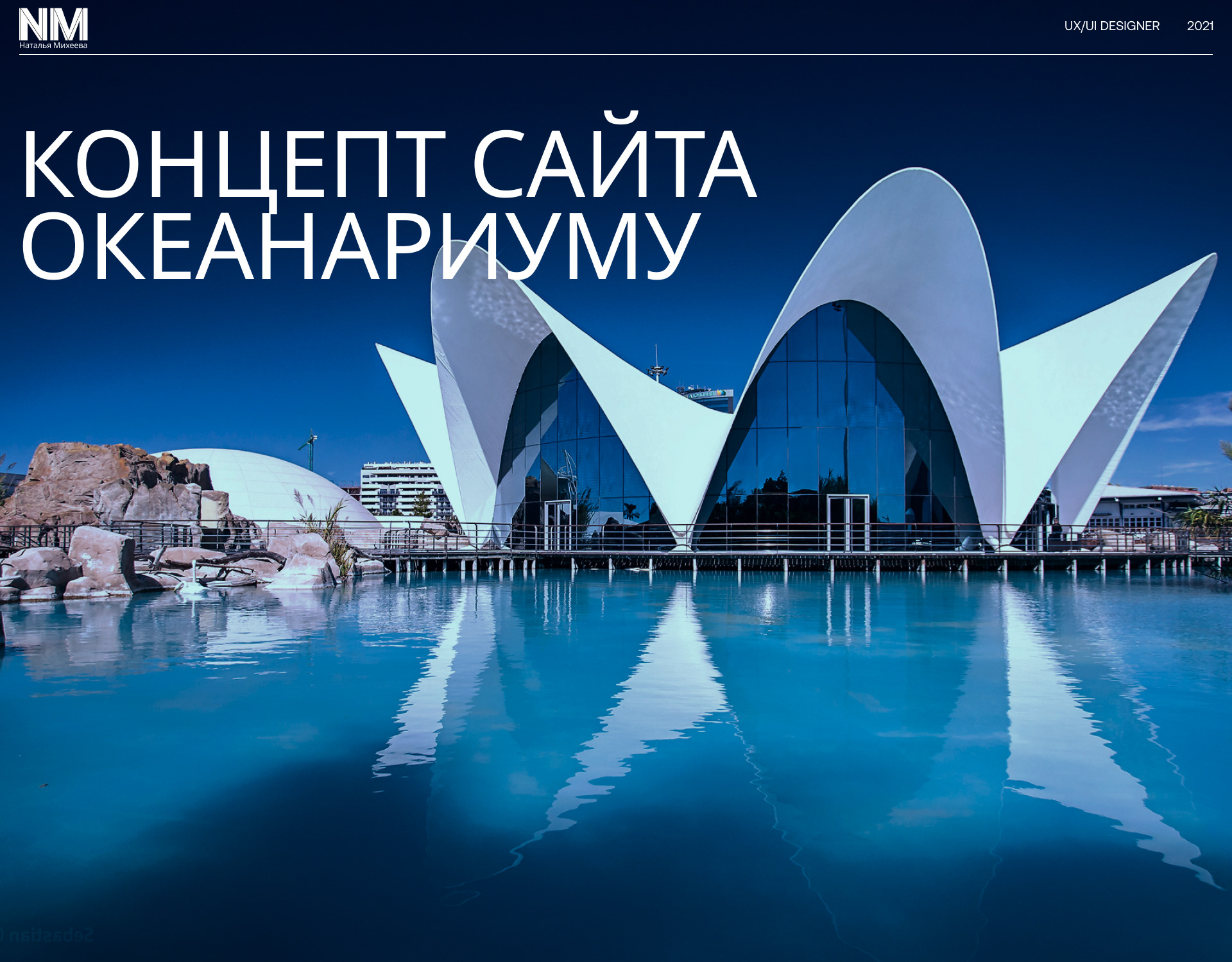Концепт сайта Океанографическому парку в Валенсии — Изображение №1 — Интерфейсы, Маркетинг на Dprofile
