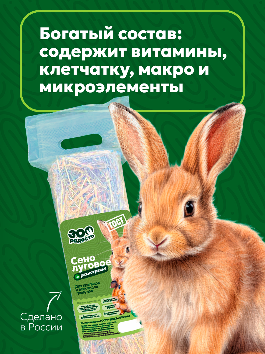 Брендинг для зоотоваров — Изображение №8 — Брендинг на Dprofile