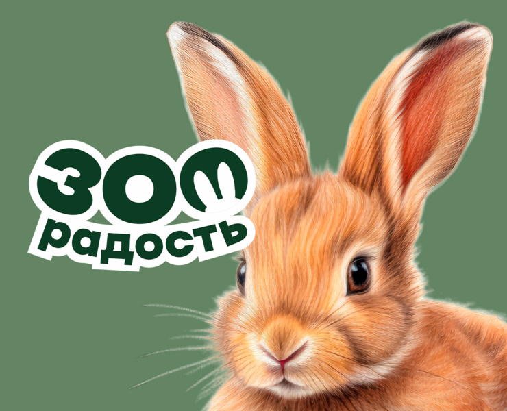 Брендинг для зоотоваров на Dprofile