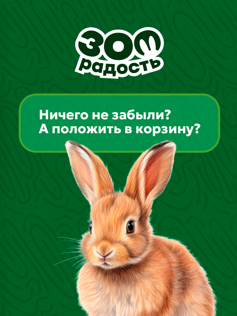 Брендинг для зоотоваров — Изображение №11 — Брендинг на Dprofile