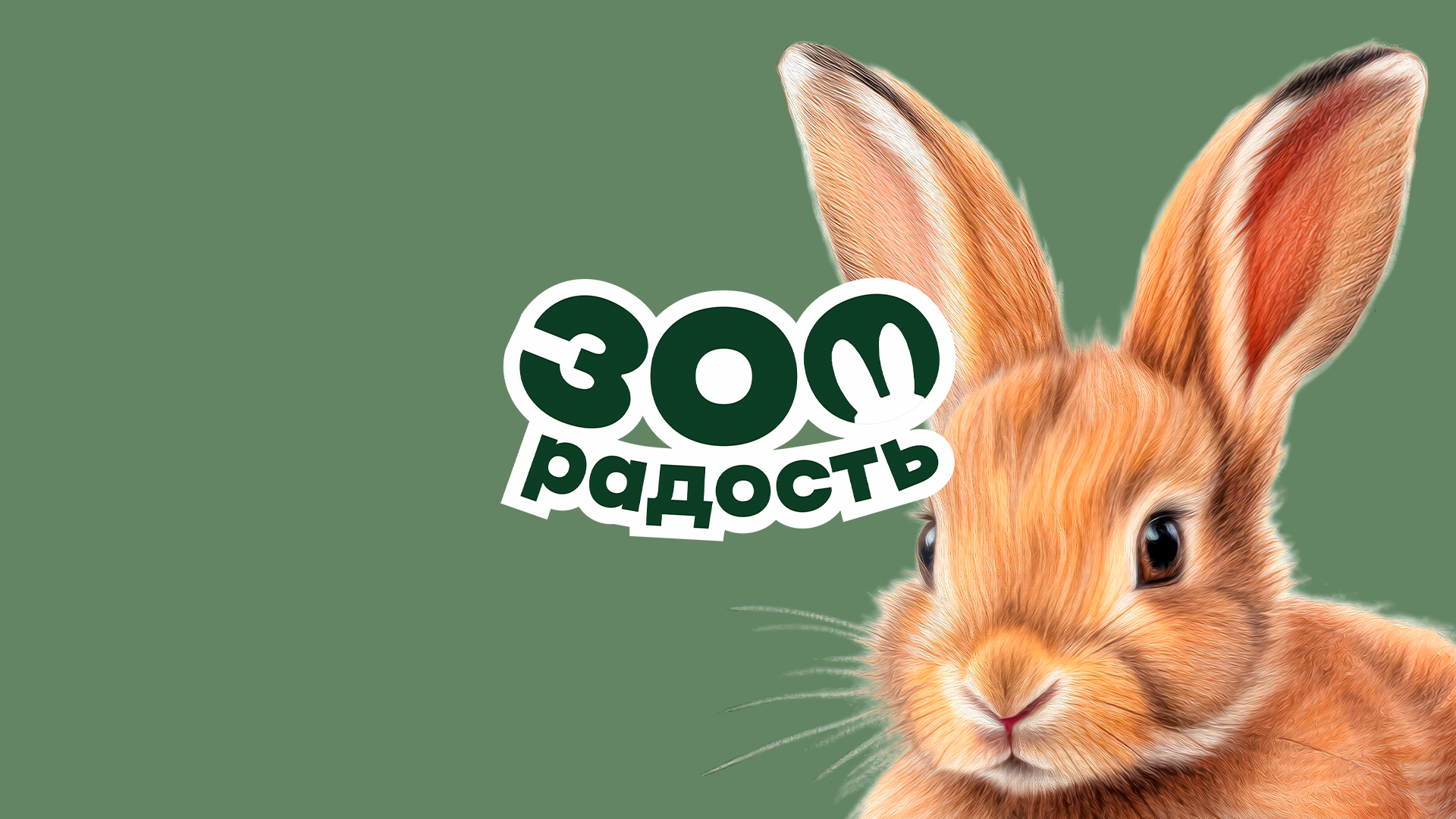 Брендинг для зоотоваров — Изображение №1 — Брендинг на Dprofile